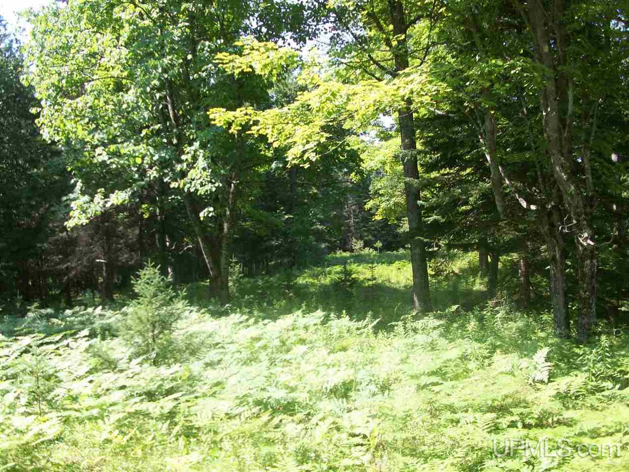 Tbd Off 32nd Road Rapid River, MI 49878 - Photo 2 of 6