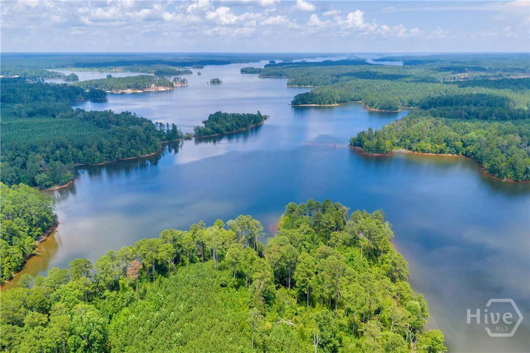 5770 Lincolnton Road Northeast Thomson, GA 30824 - Photo 22 of 63