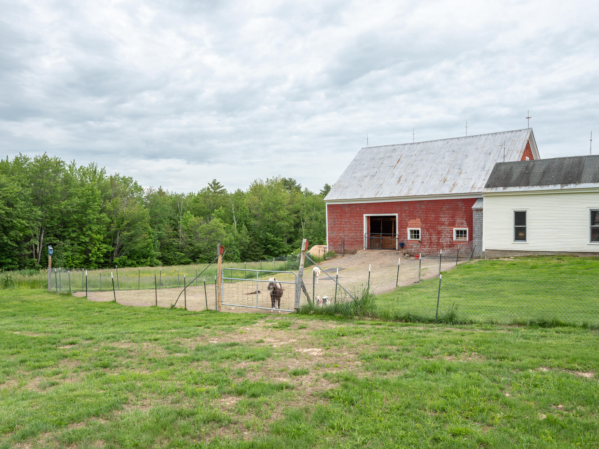 221 Middle Ridge Road Bridgton, ME 04009 - Photo 43 of 50 237 Middle Ridge -42