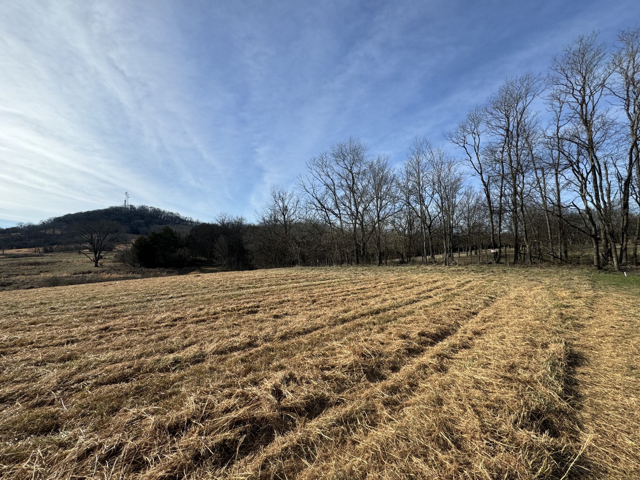 5 Templow Road Bethpage, TN 37022 - Photo 8 of 14