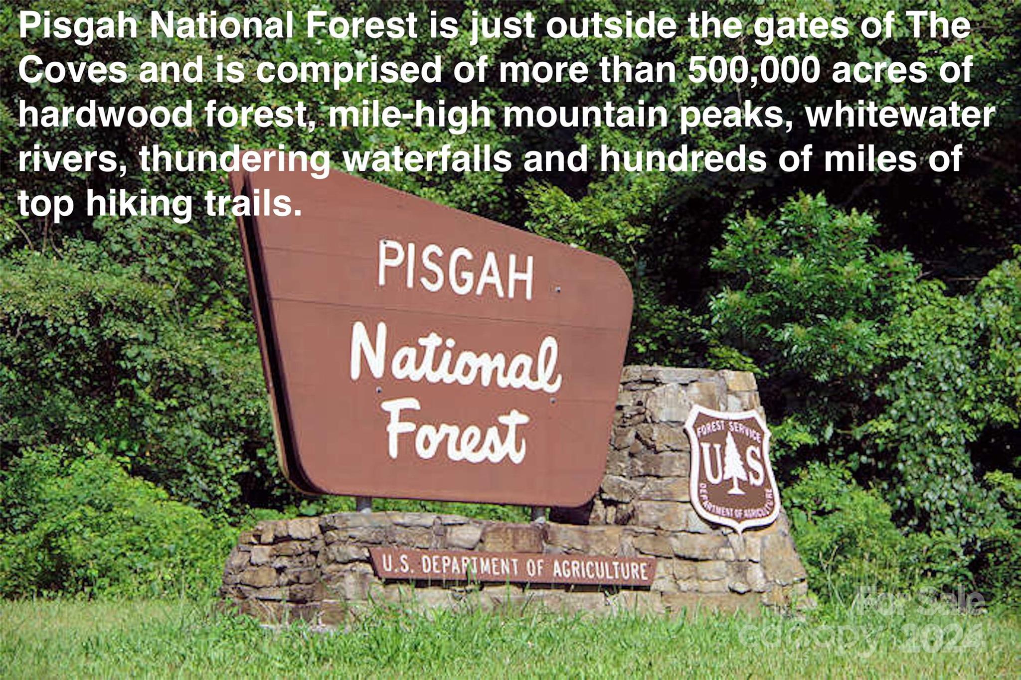 6140 Painted Rdg Trail Lenoir, NC 28645 - Photo 47 of 47