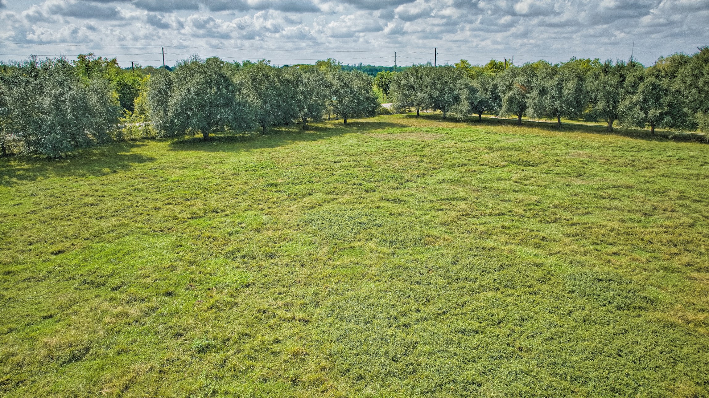 2 Fm 1462 Road Guy, TX 77444 - Photo 15 of 23 a view of a yard with an outdoor space