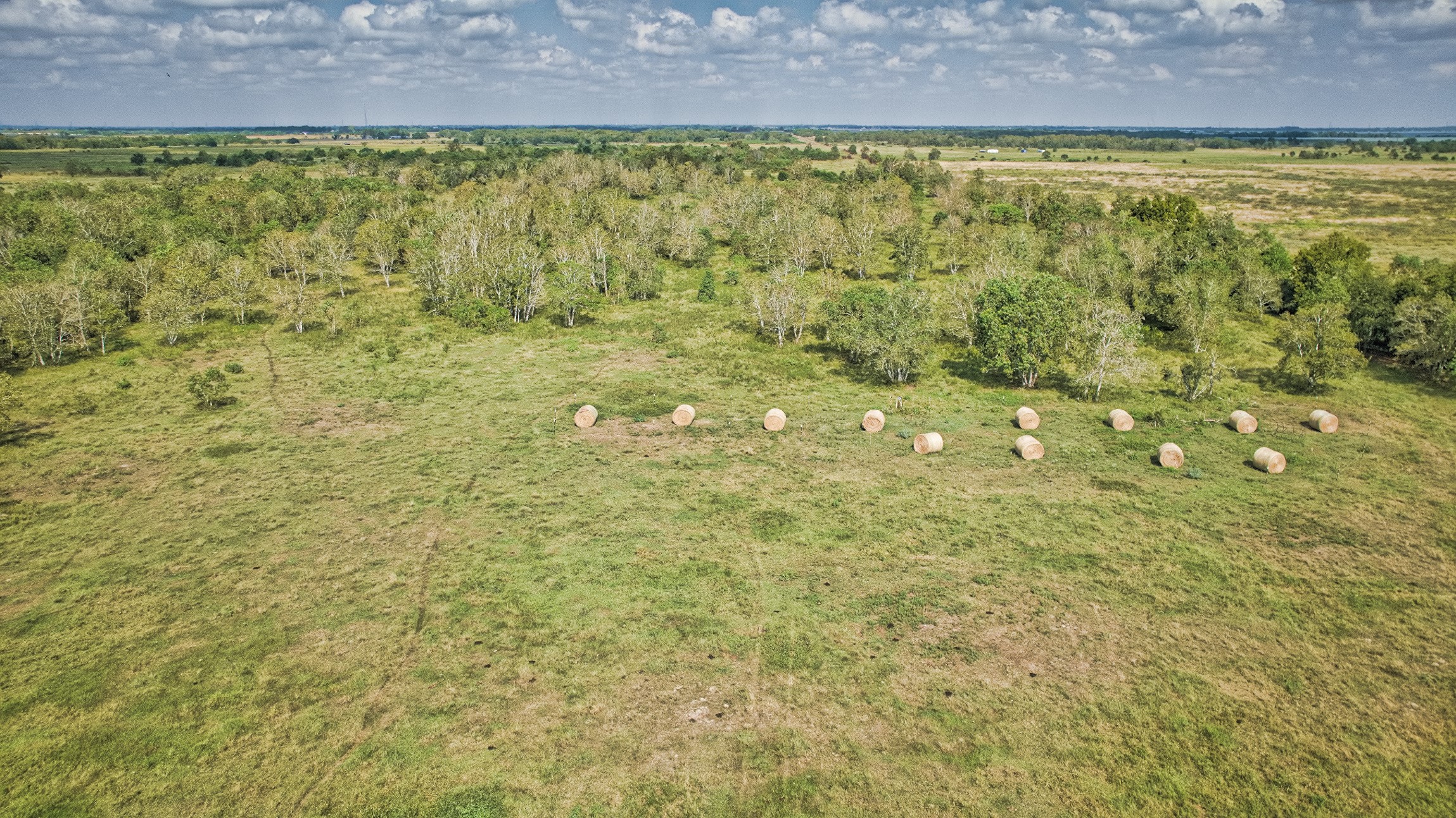 2 Fm 1462 Road Guy, TX 77444 - Photo 17 of 23 a bathroom with a shower curtain