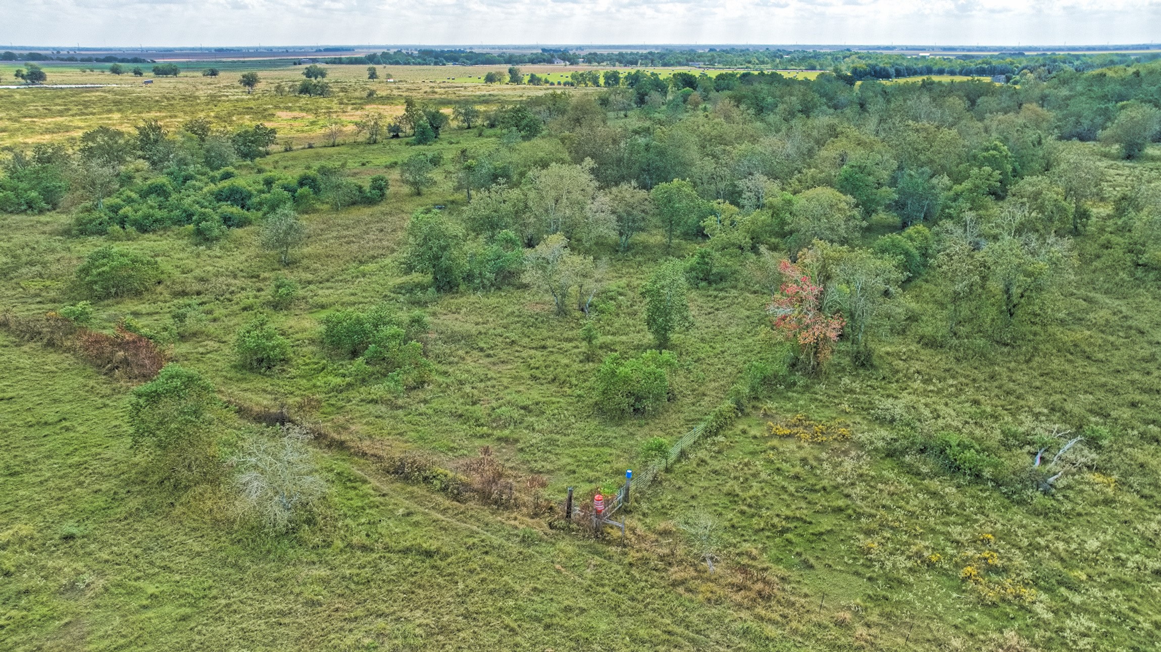 2 Fm 1462 Road Guy, TX 77444 - Photo 20 of 23 a view of a green field with lots of trees