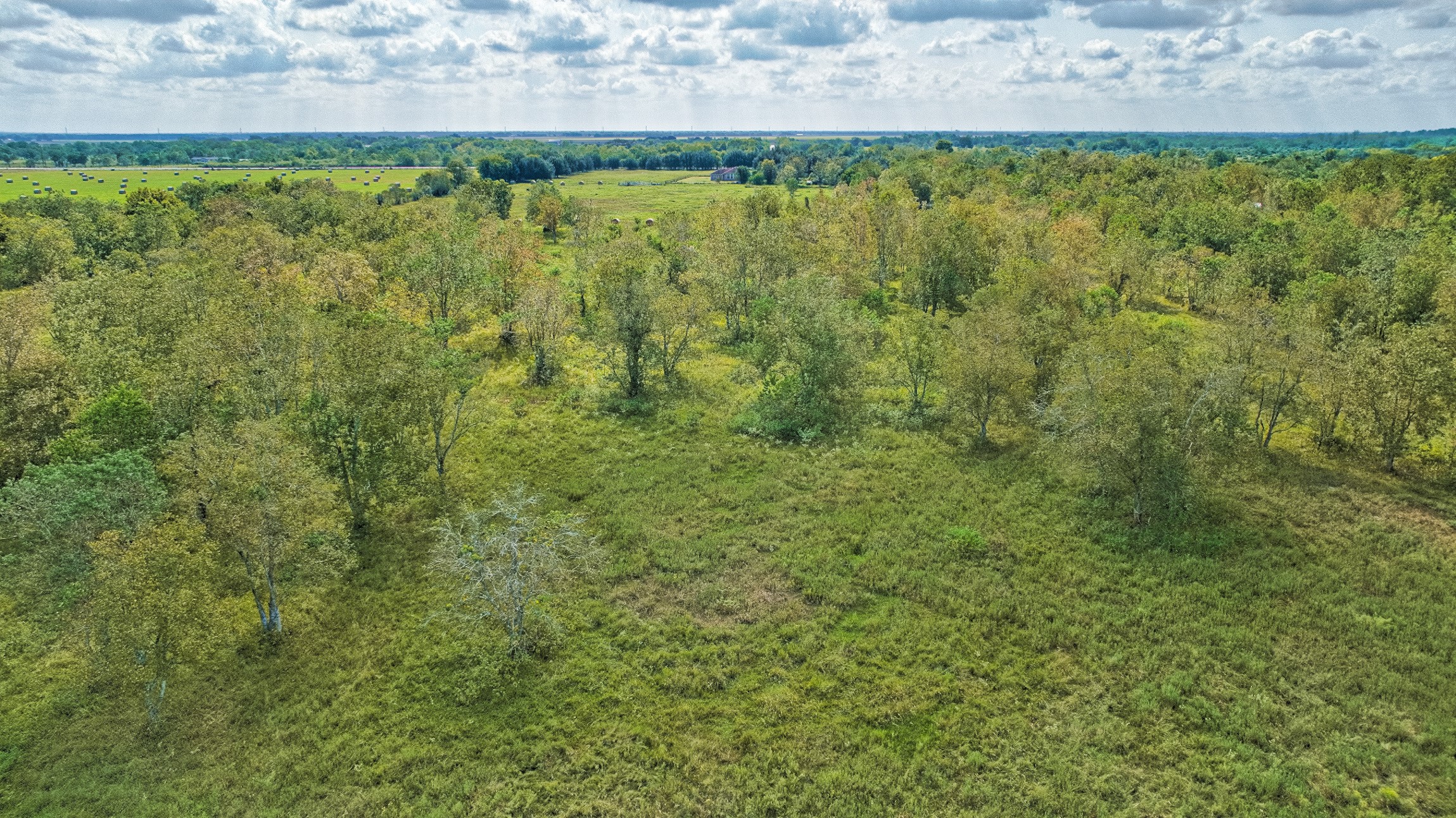 2 Fm 1462 Road Guy, TX 77444 - Photo 22 of 23 a view of a yard with an outdoor space