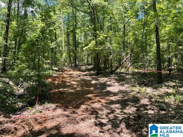 0 Bama Rock Garden Road, Unit 2 Vance, AL 35490 - Photo 1 of 2