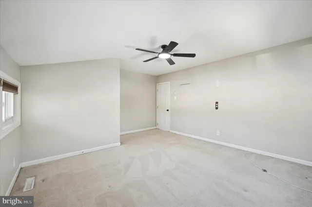 a view of road with large trees