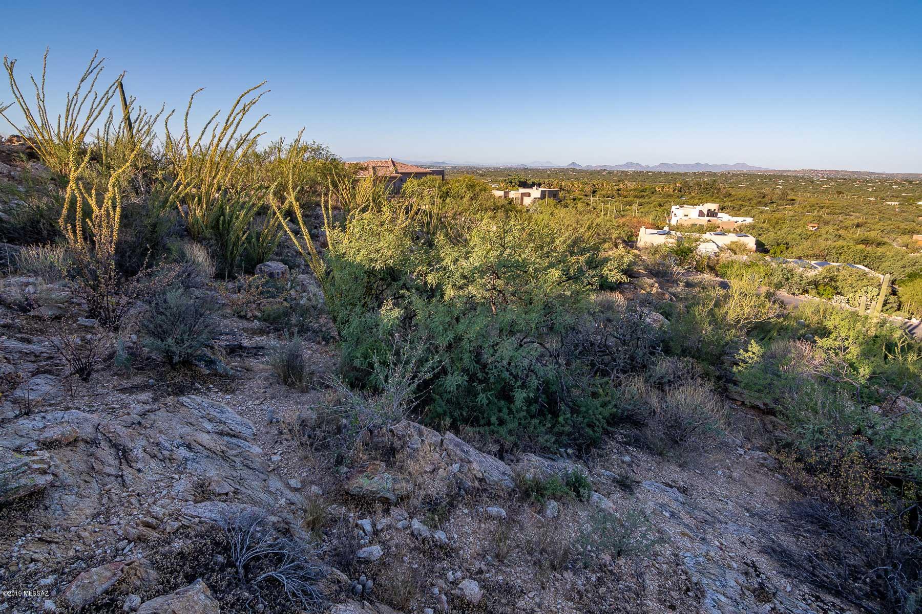 4140 Larkspur Road, Unit 79 Tucson, AZ 85749 - Photo 27 of 50 Gallery Image 27