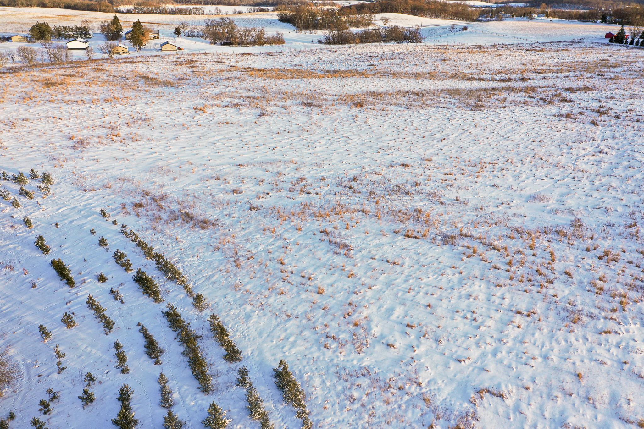 Tbdx 130th Street Detroit Lakes, MN 56501 - Photo 16 of 98