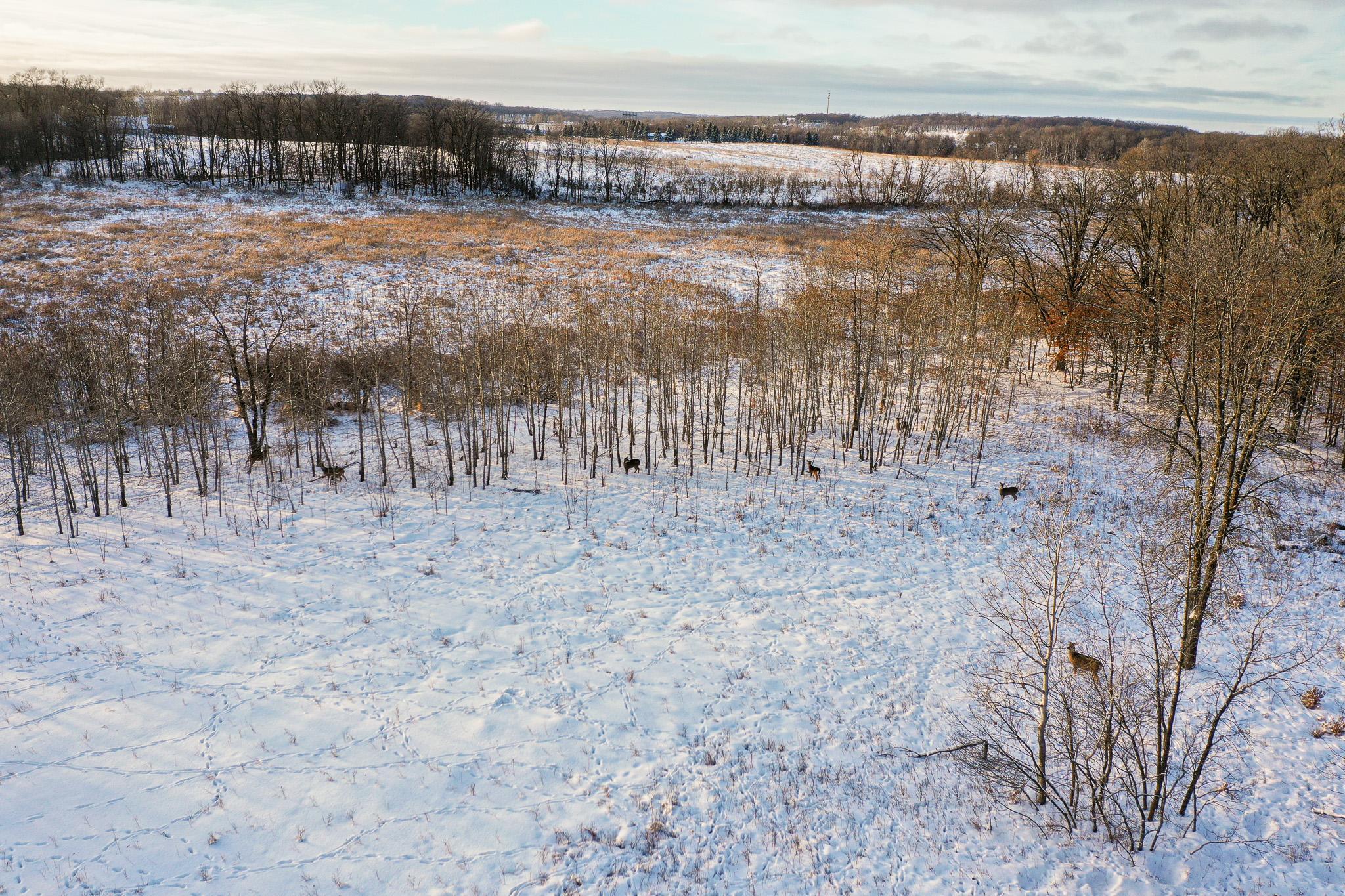 Tbdx 130th Street Detroit Lakes, MN 56501 - Photo 19 of 98