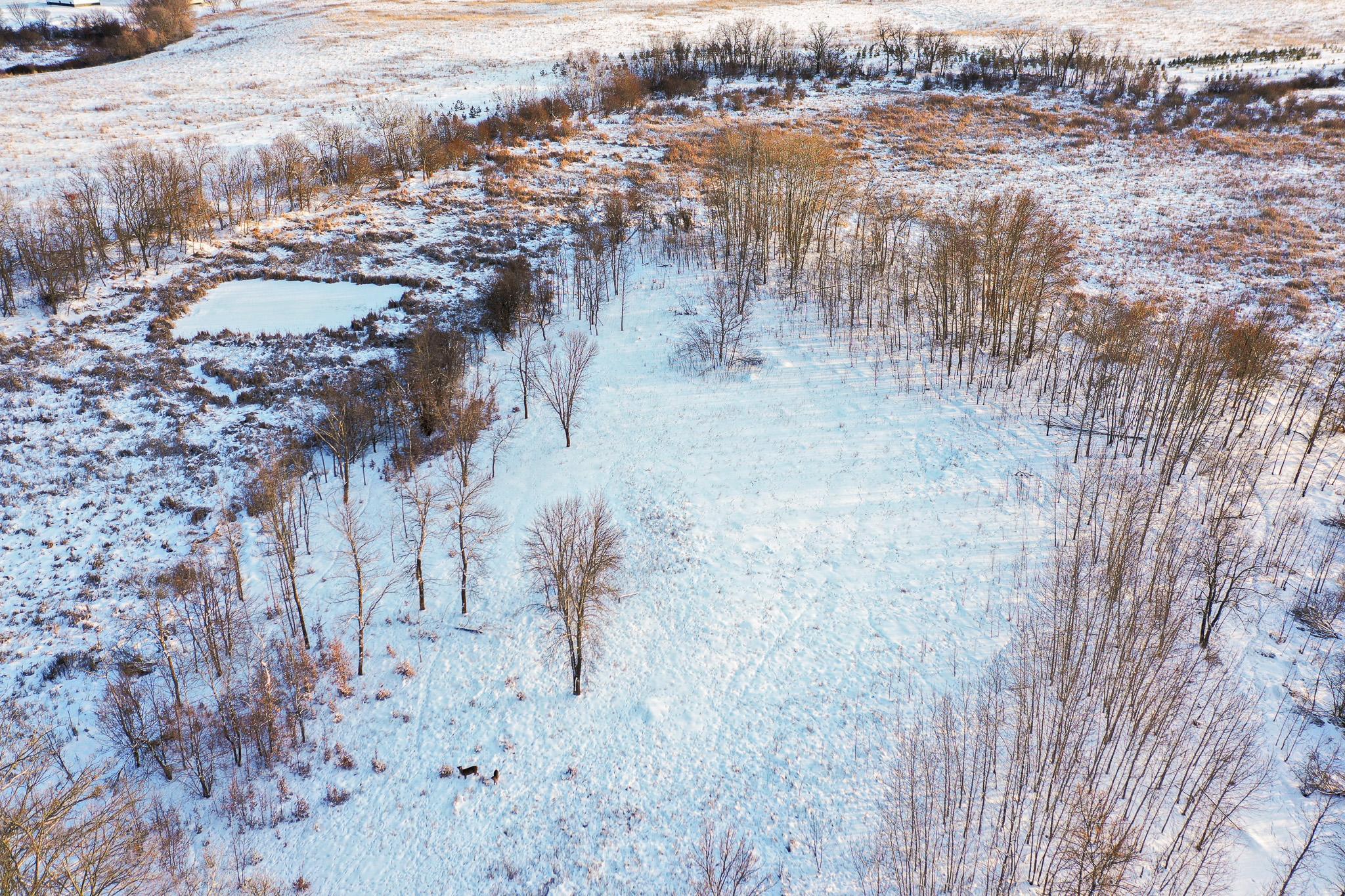 Tbdx 130th Street Detroit Lakes, MN 56501 - Photo 20 of 98