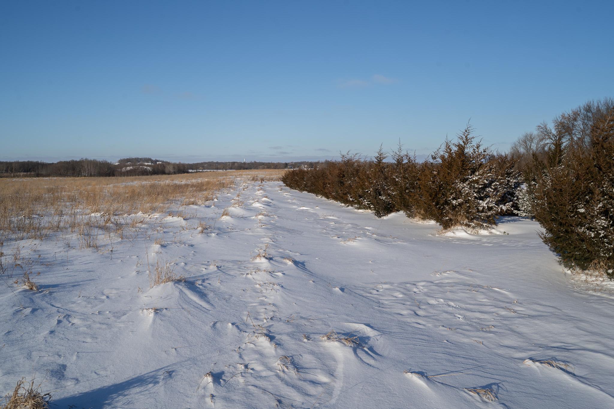 Tbdx 130th Street Detroit Lakes, MN 56501 - Photo 23 of 98