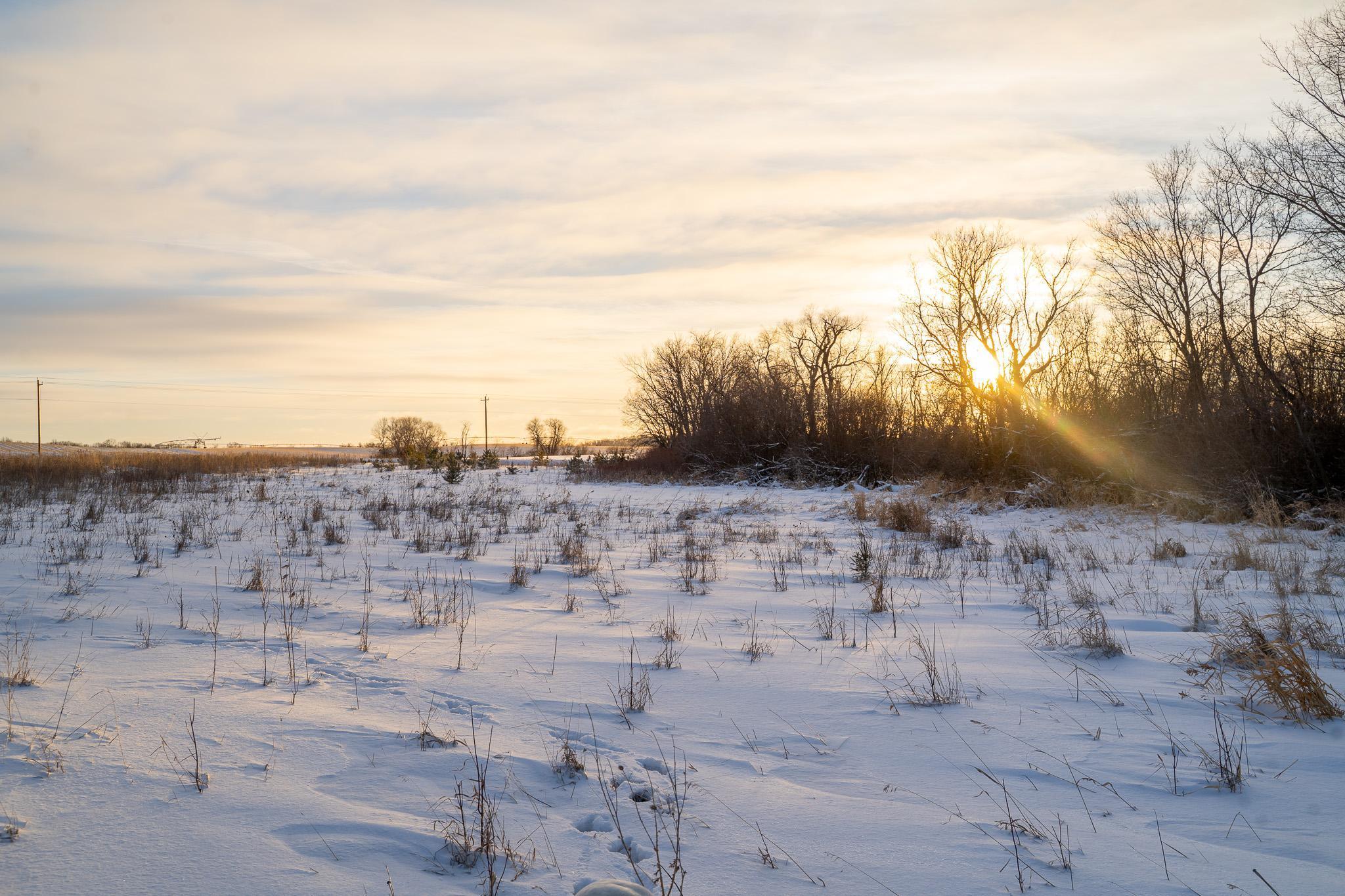 Tbdx 130th Street Detroit Lakes, MN 56501 - Photo 28 of 98