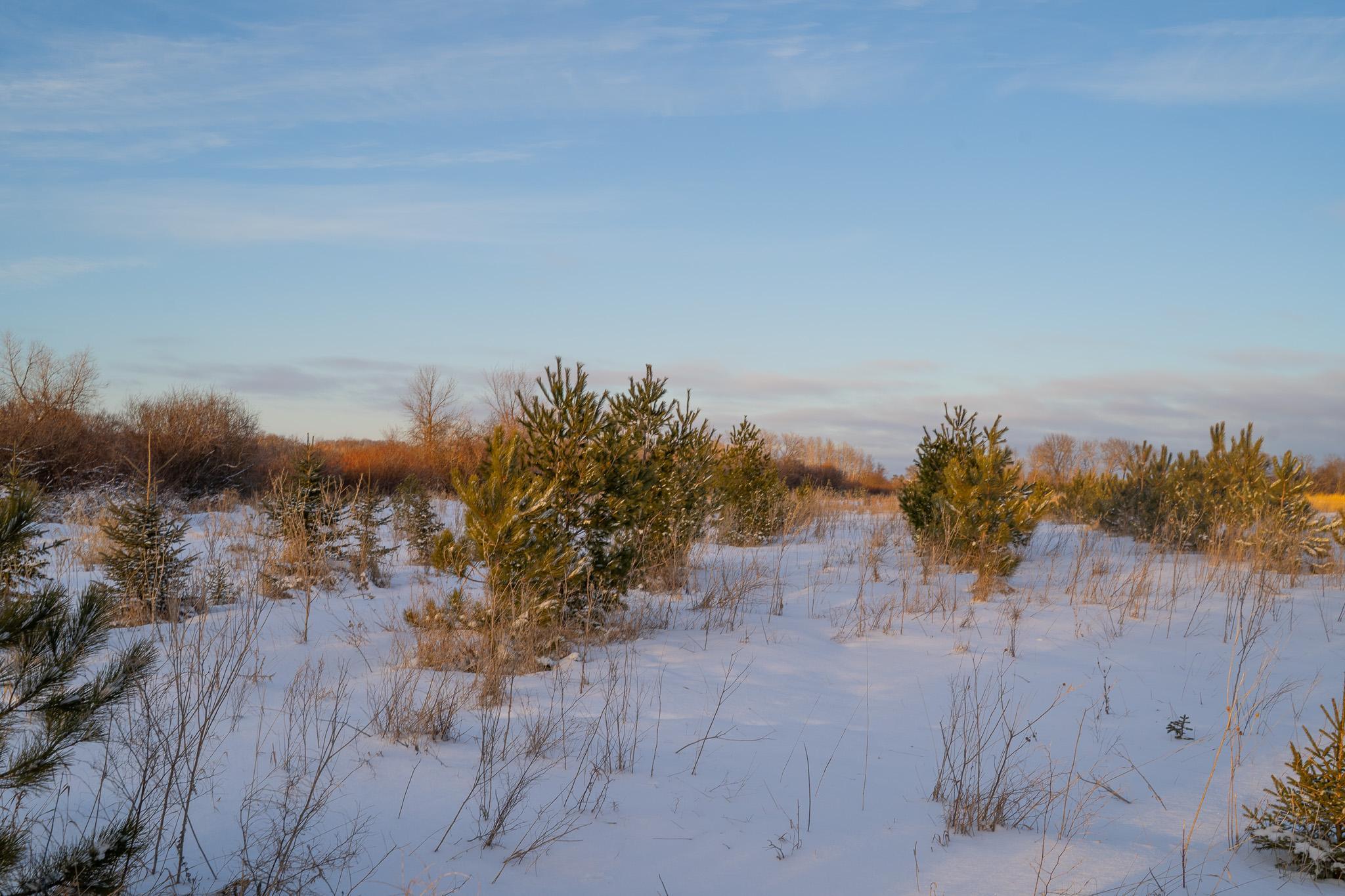 Tbdx 130th Street Detroit Lakes, MN 56501 - Photo 29 of 98