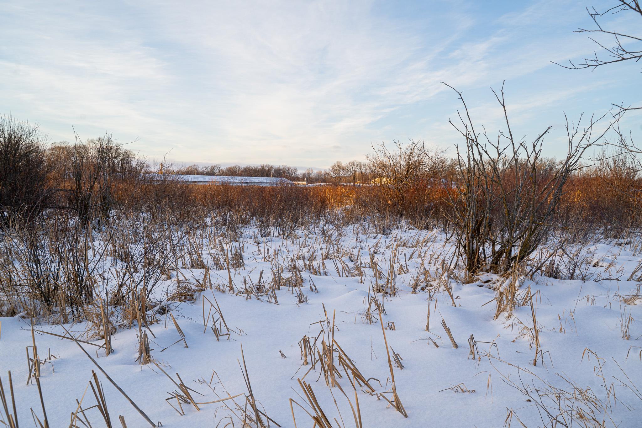 Tbdx 130th Street Detroit Lakes, MN 56501 - Photo 30 of 98