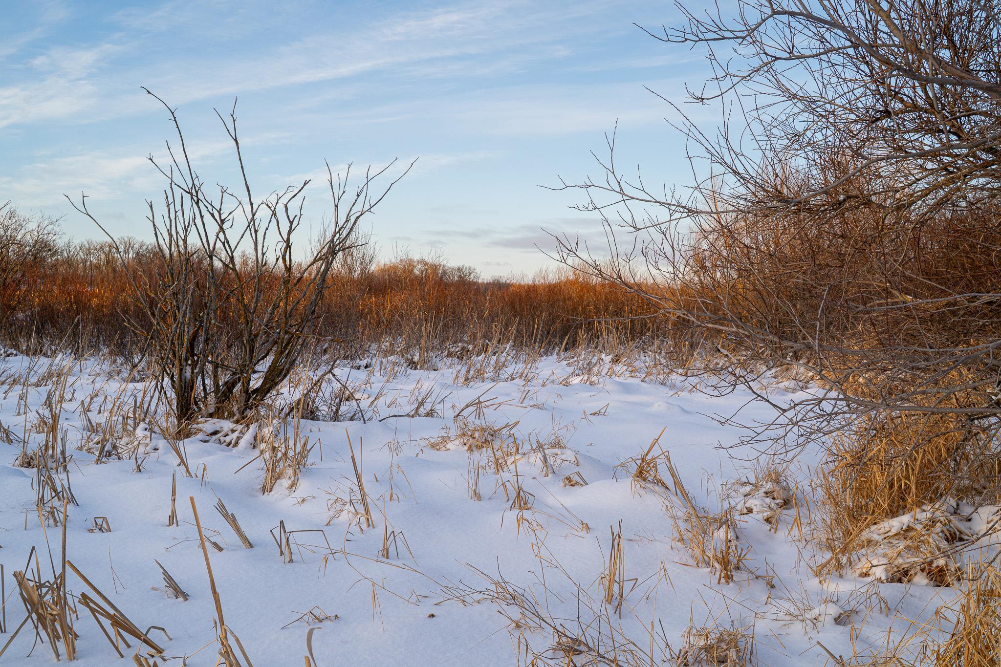 Tbdx 130th Street Detroit Lakes, MN 56501 - Photo 31 of 98