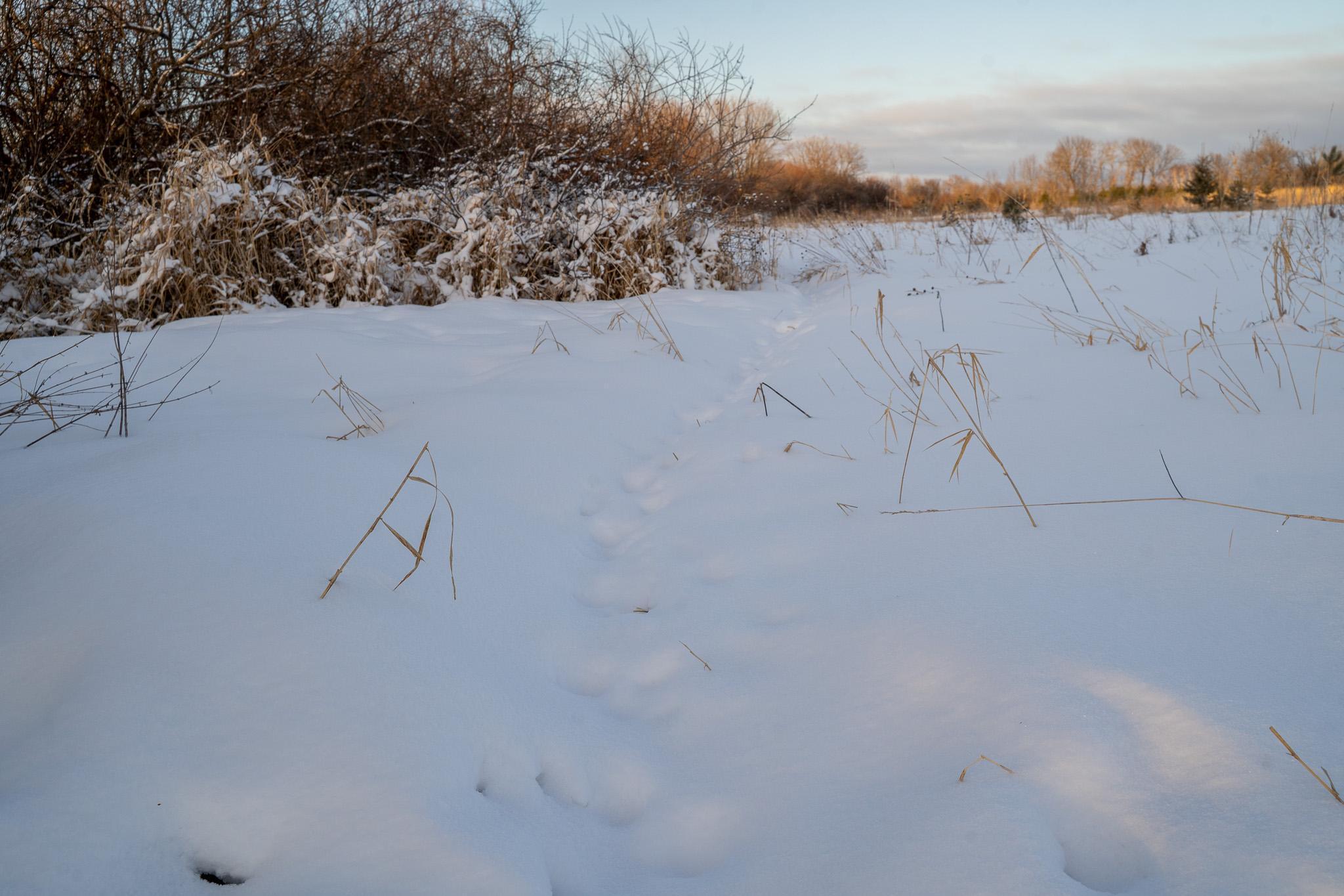 Tbdx 130th Street Detroit Lakes, MN 56501 - Photo 32 of 98