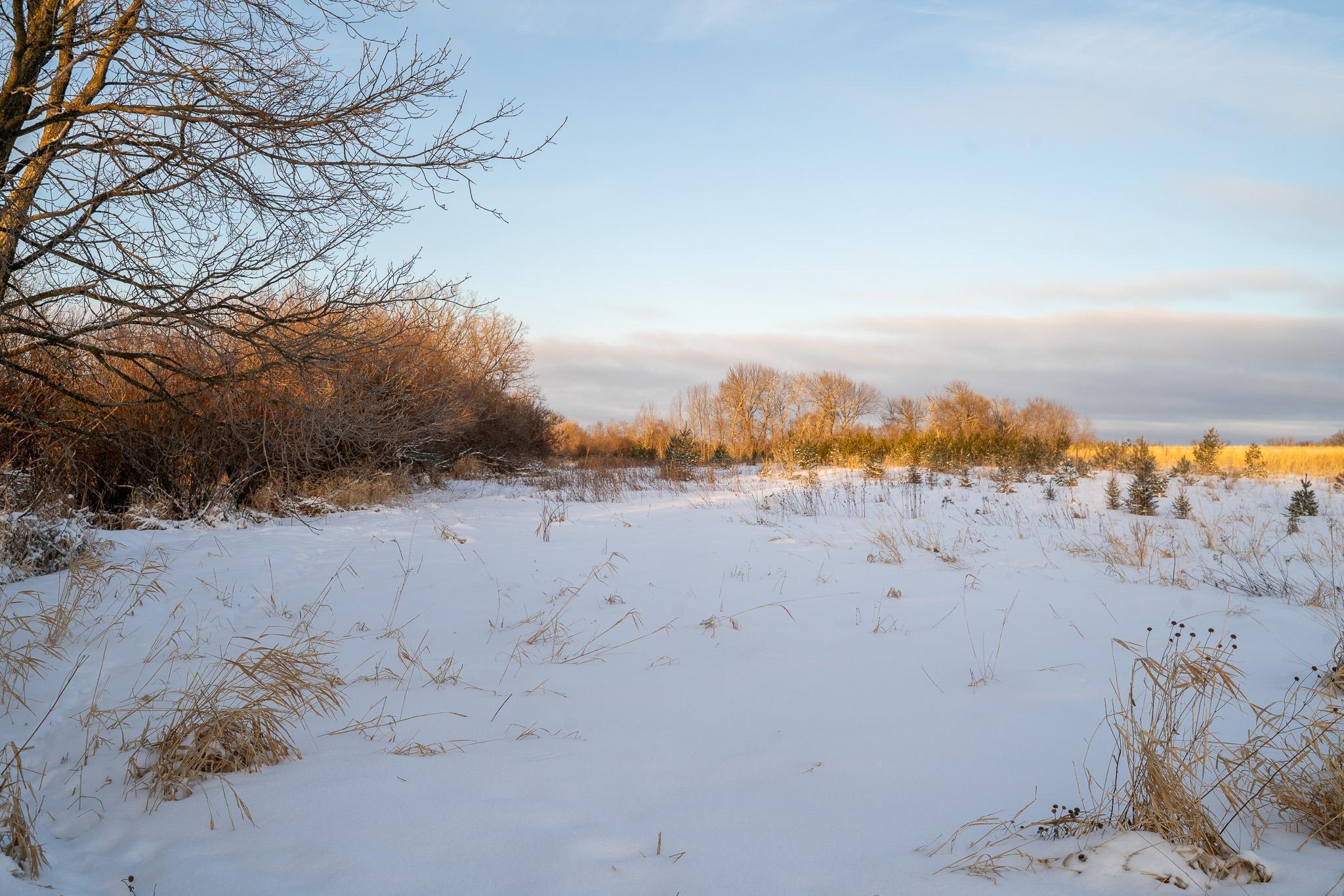 Tbdx 130th Street Detroit Lakes, MN 56501 - Photo 33 of 98