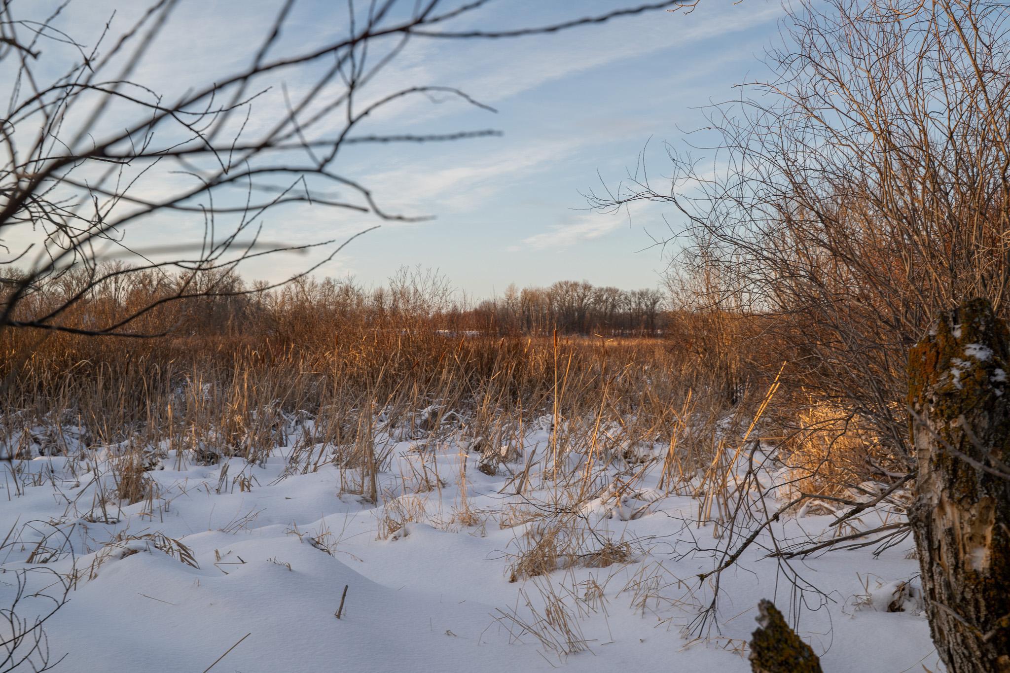 Tbdx 130th Street Detroit Lakes, MN 56501 - Photo 34 of 98