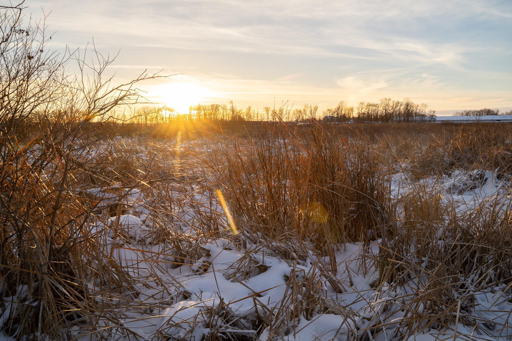 Tbdx 130th Street Detroit Lakes, MN 56501 - Photo 36 of 98