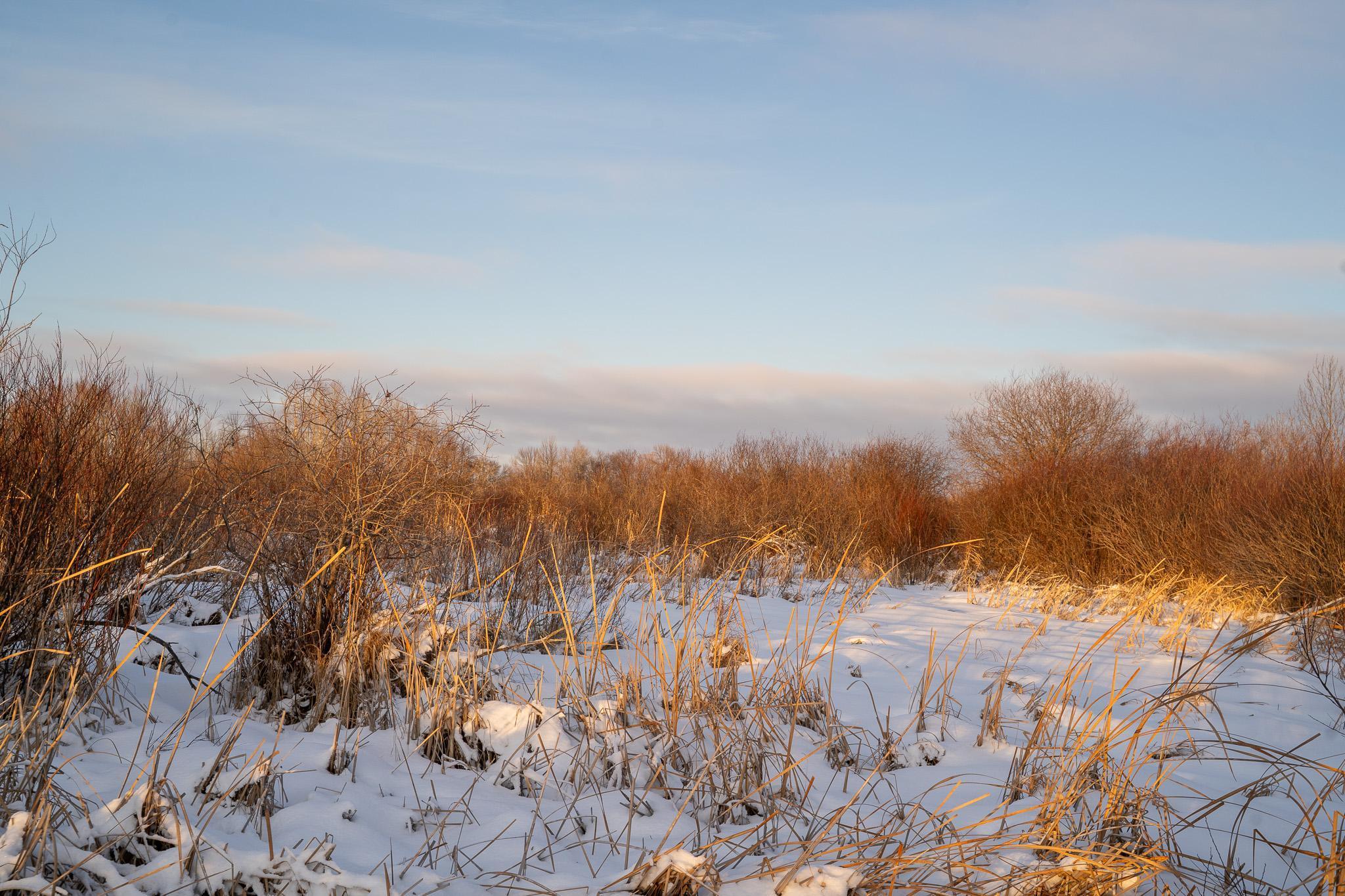 Tbdx 130th Street Detroit Lakes, MN 56501 - Photo 37 of 98