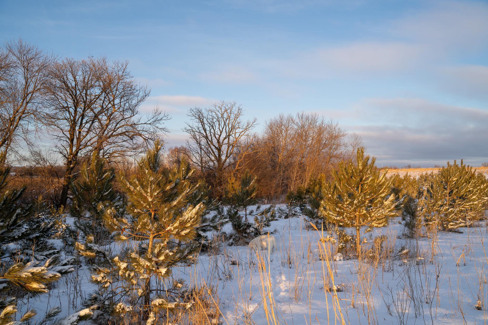 Tbdx 130th Street Detroit Lakes, MN 56501 - Photo 41 of 98