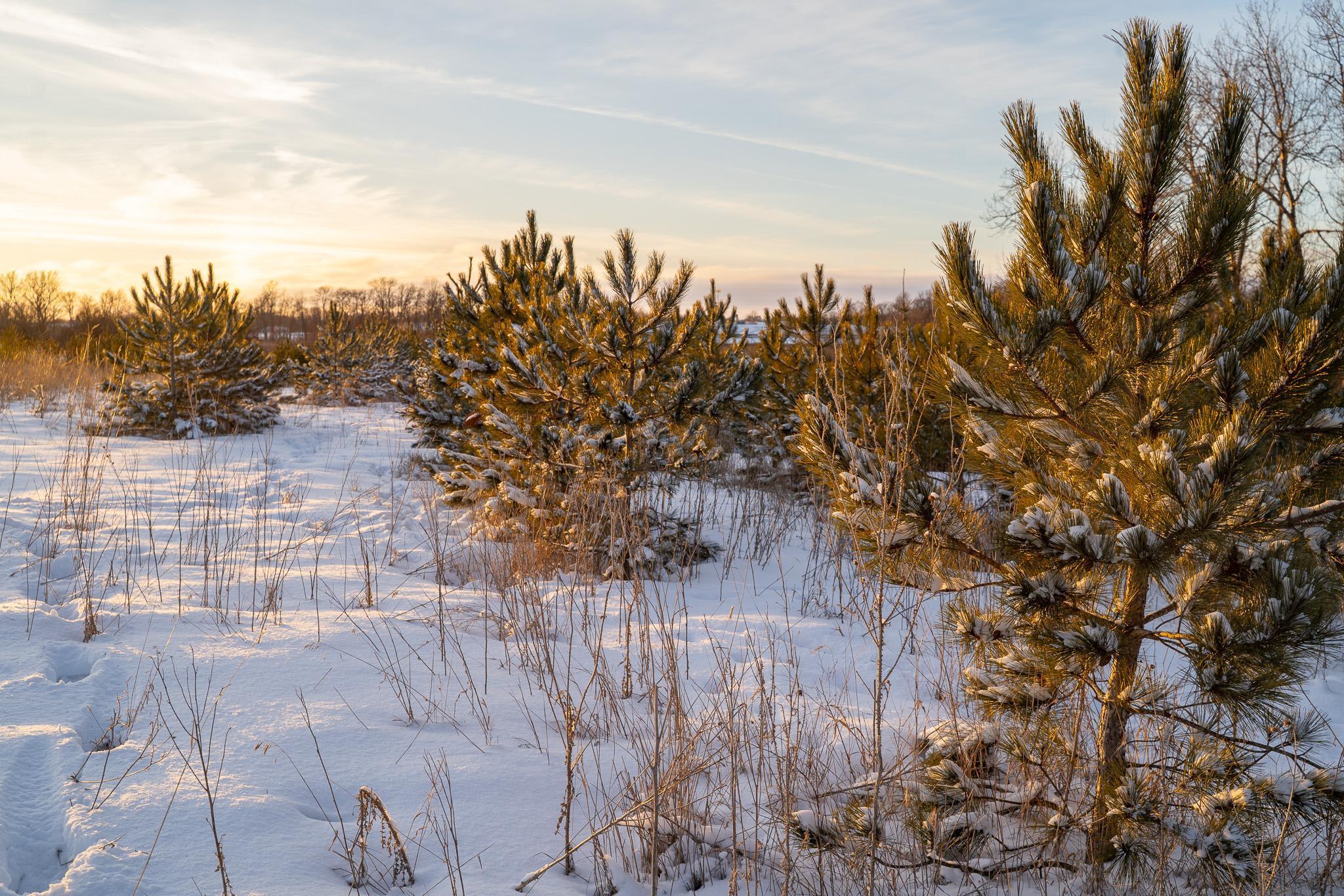 Tbdx 130th Street Detroit Lakes, MN 56501 - Photo 43 of 98