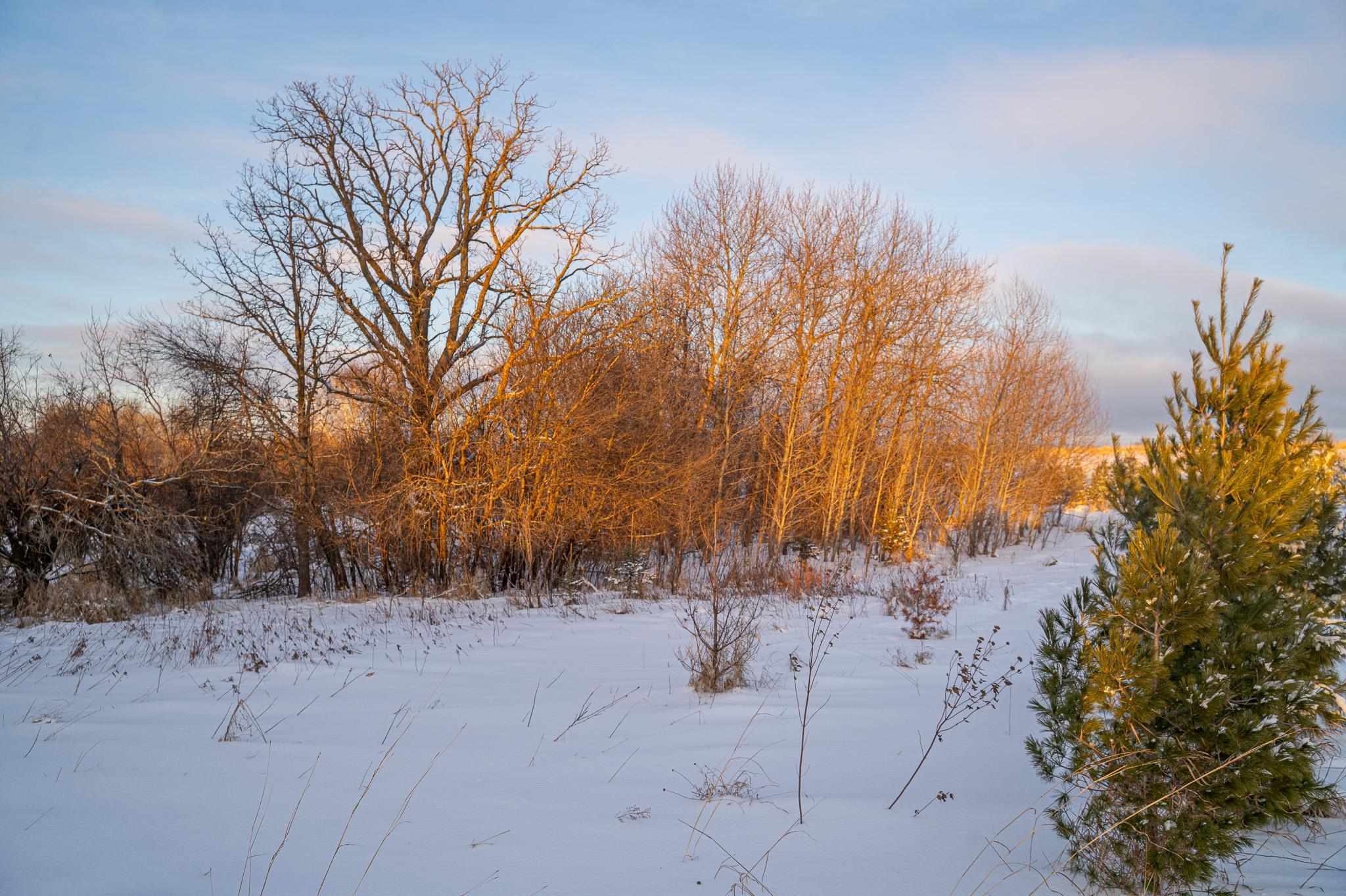 Tbdx 130th Street Detroit Lakes, MN 56501 - Photo 44 of 98