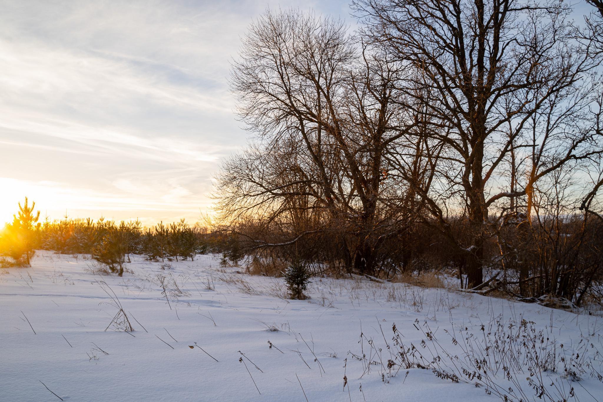Tbdx 130th Street Detroit Lakes, MN 56501 - Photo 45 of 98