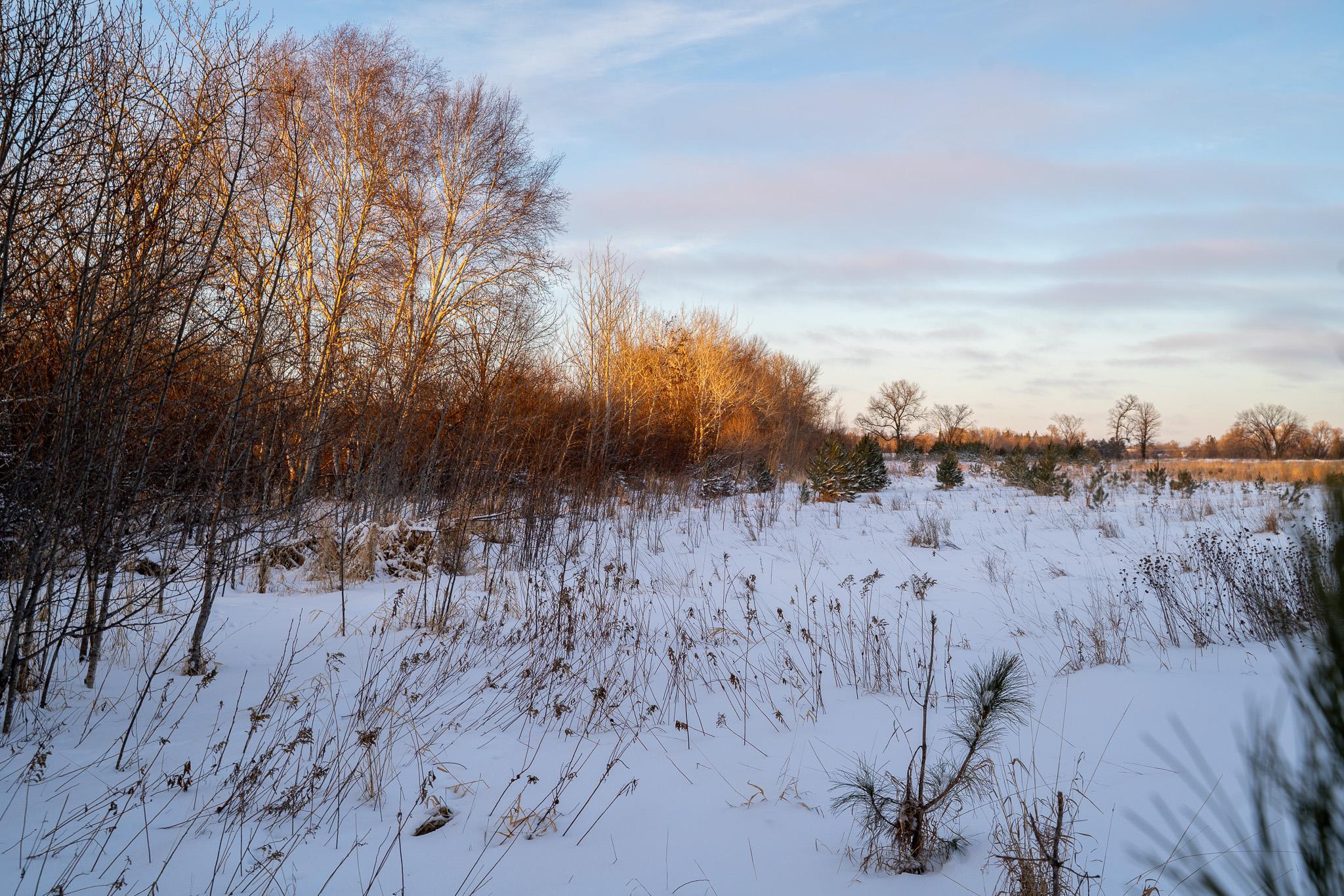 Tbdx 130th Street Detroit Lakes, MN 56501 - Photo 46 of 98