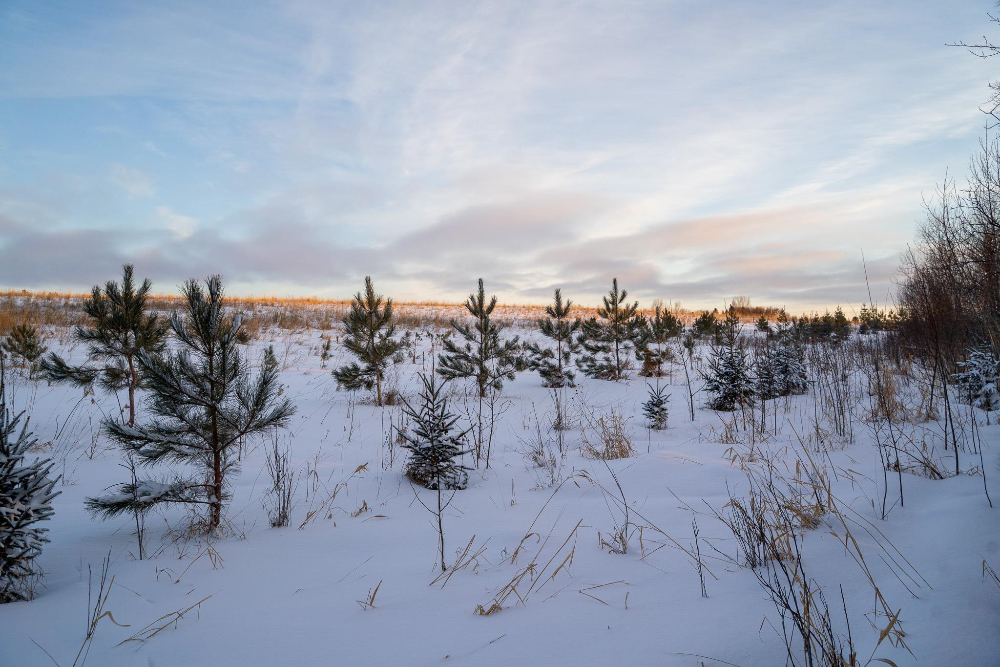 Tbdx 130th Street Detroit Lakes, MN 56501 - Photo 47 of 98