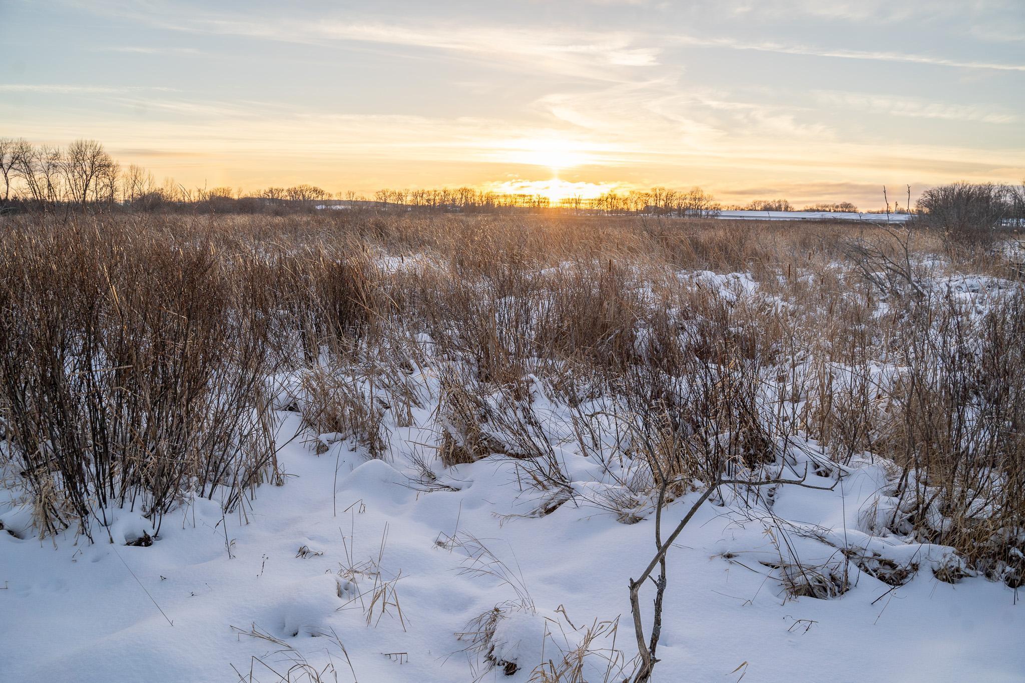 Tbdx 130th Street Detroit Lakes, MN 56501 - Photo 49 of 98
