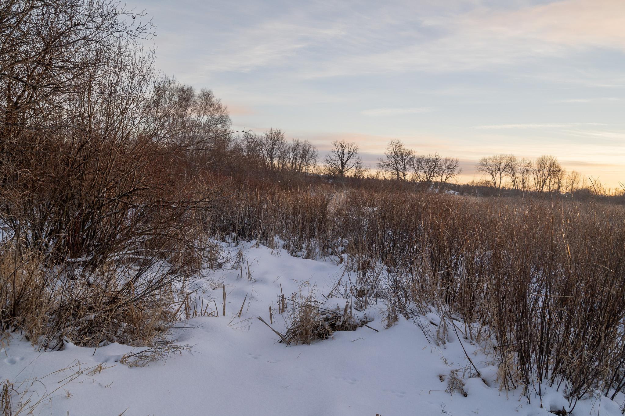 Tbdx 130th Street Detroit Lakes, MN 56501 - Photo 50 of 98