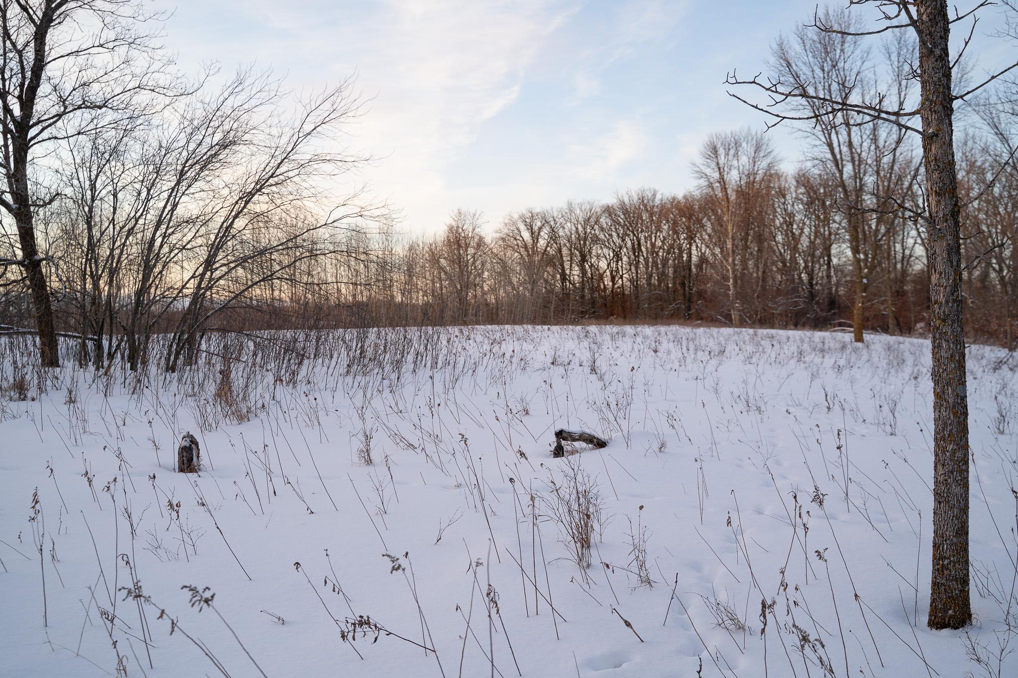 Tbdx 130th Street Detroit Lakes, MN 56501 - Photo 52 of 98