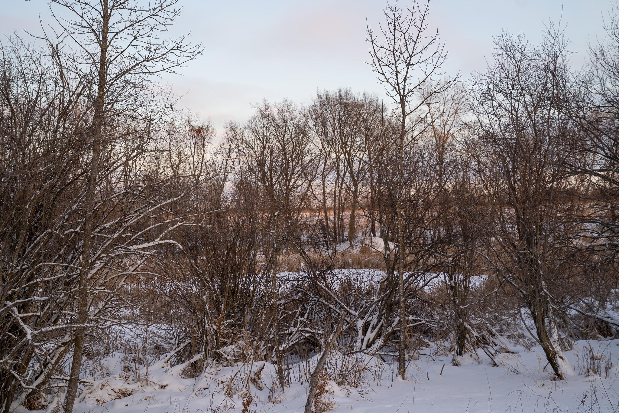 Tbdx 130th Street Detroit Lakes, MN 56501 - Photo 53 of 98