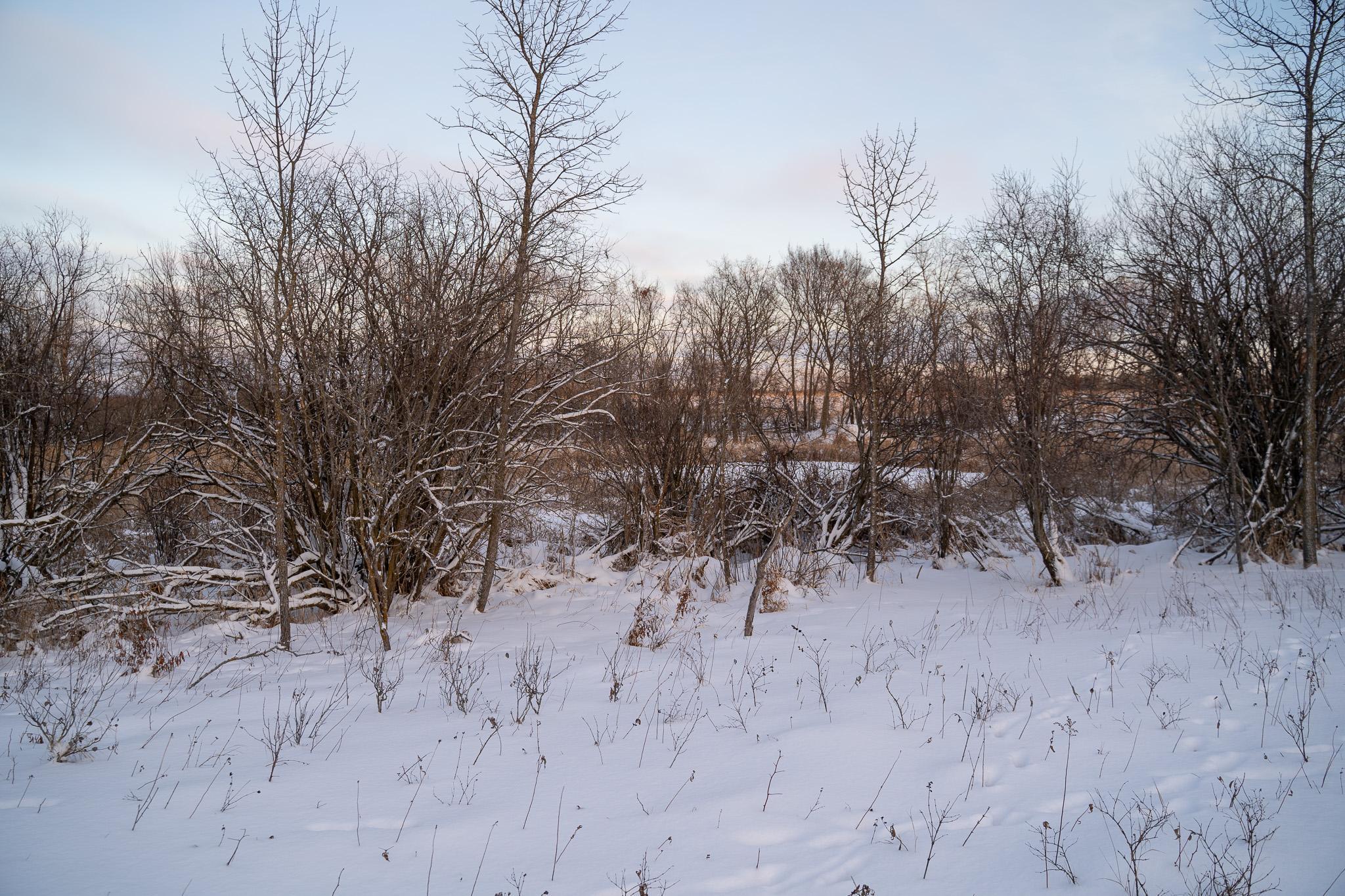 Tbdx 130th Street Detroit Lakes, MN 56501 - Photo 54 of 98