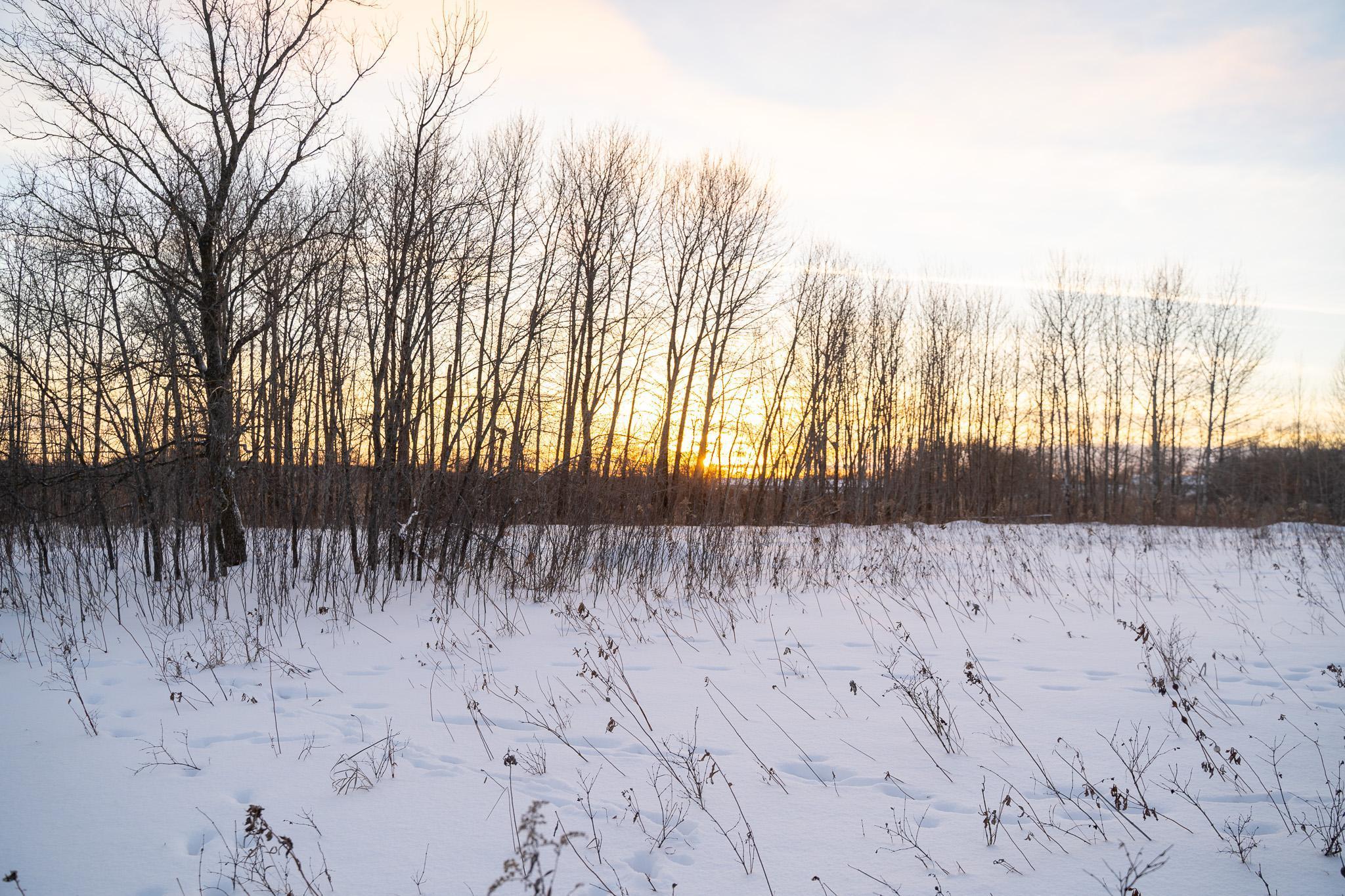 Tbdx 130th Street Detroit Lakes, MN 56501 - Photo 55 of 98