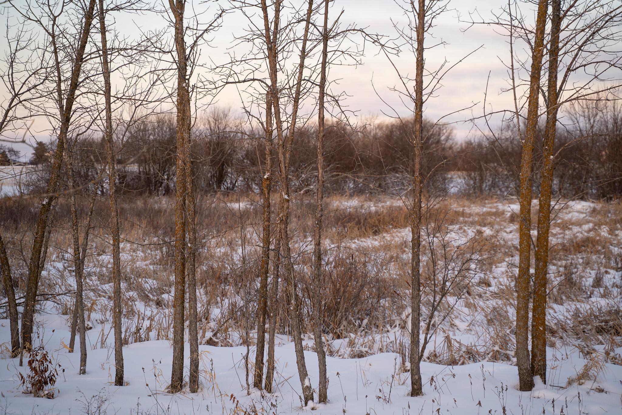 Tbdx 130th Street Detroit Lakes, MN 56501 - Photo 57 of 98