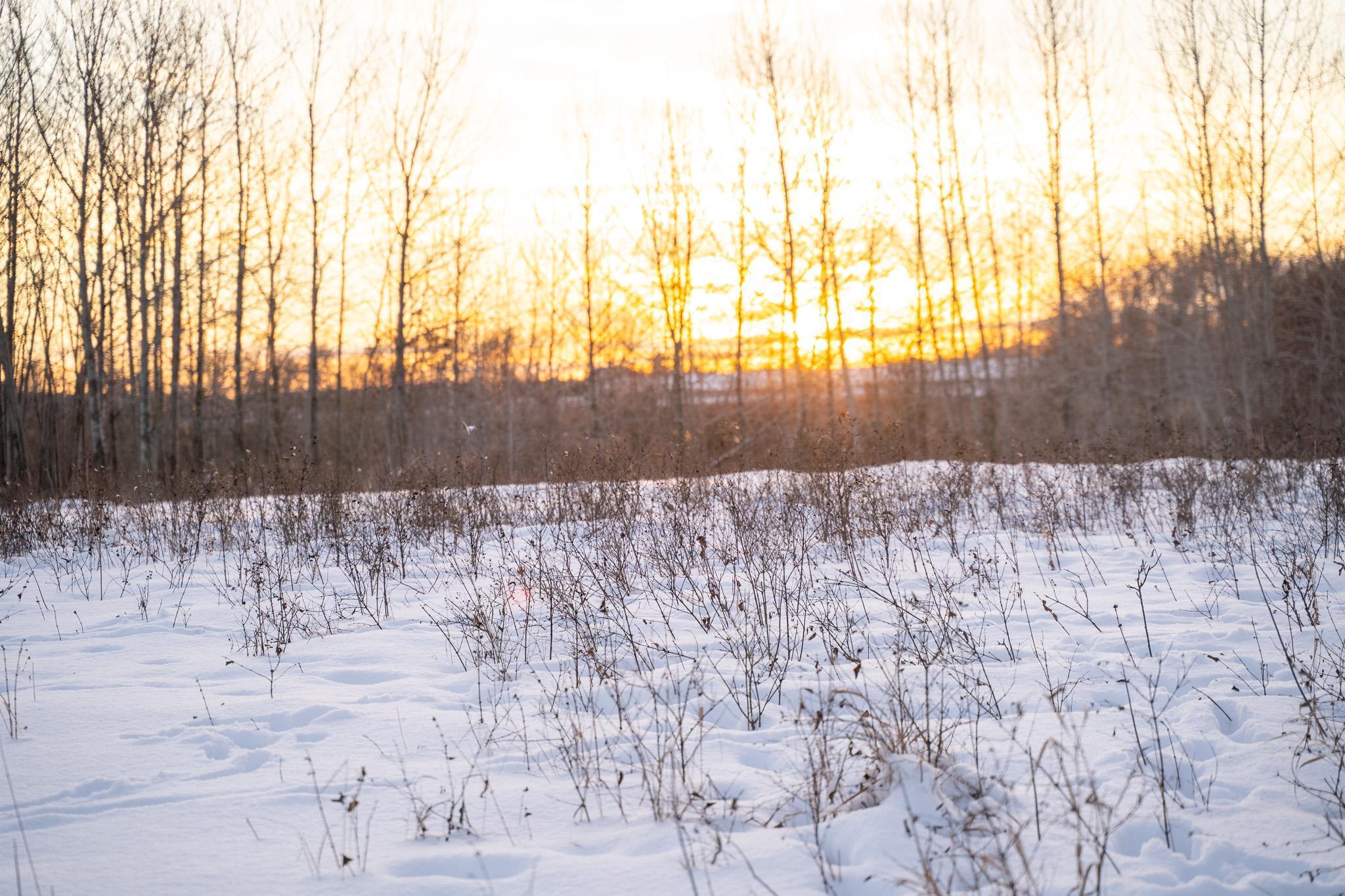 Tbdx 130th Street Detroit Lakes, MN 56501 - Photo 58 of 98