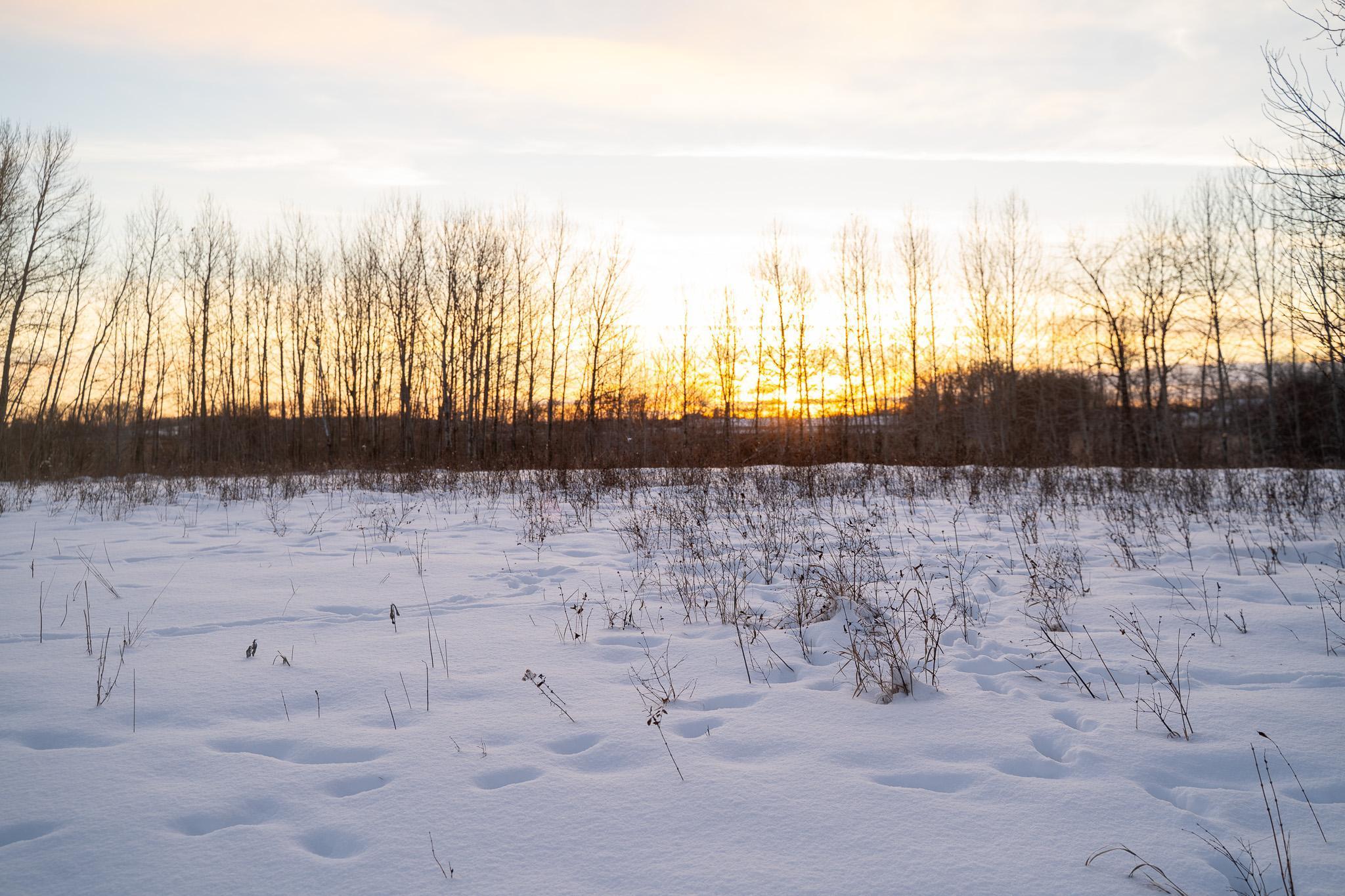 Tbdx 130th Street Detroit Lakes, MN 56501 - Photo 59 of 98