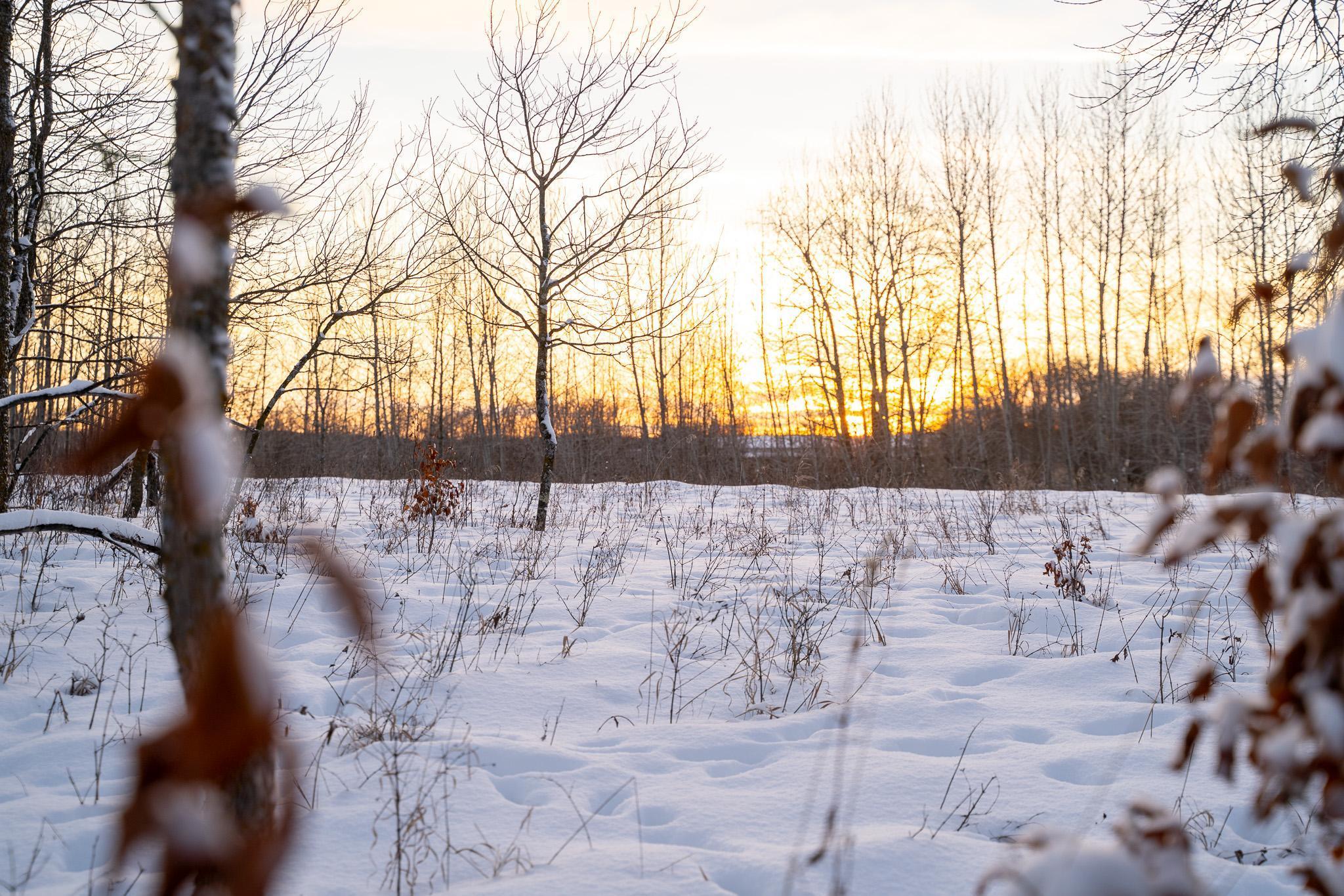 Tbdx 130th Street Detroit Lakes, MN 56501 - Photo 60 of 98