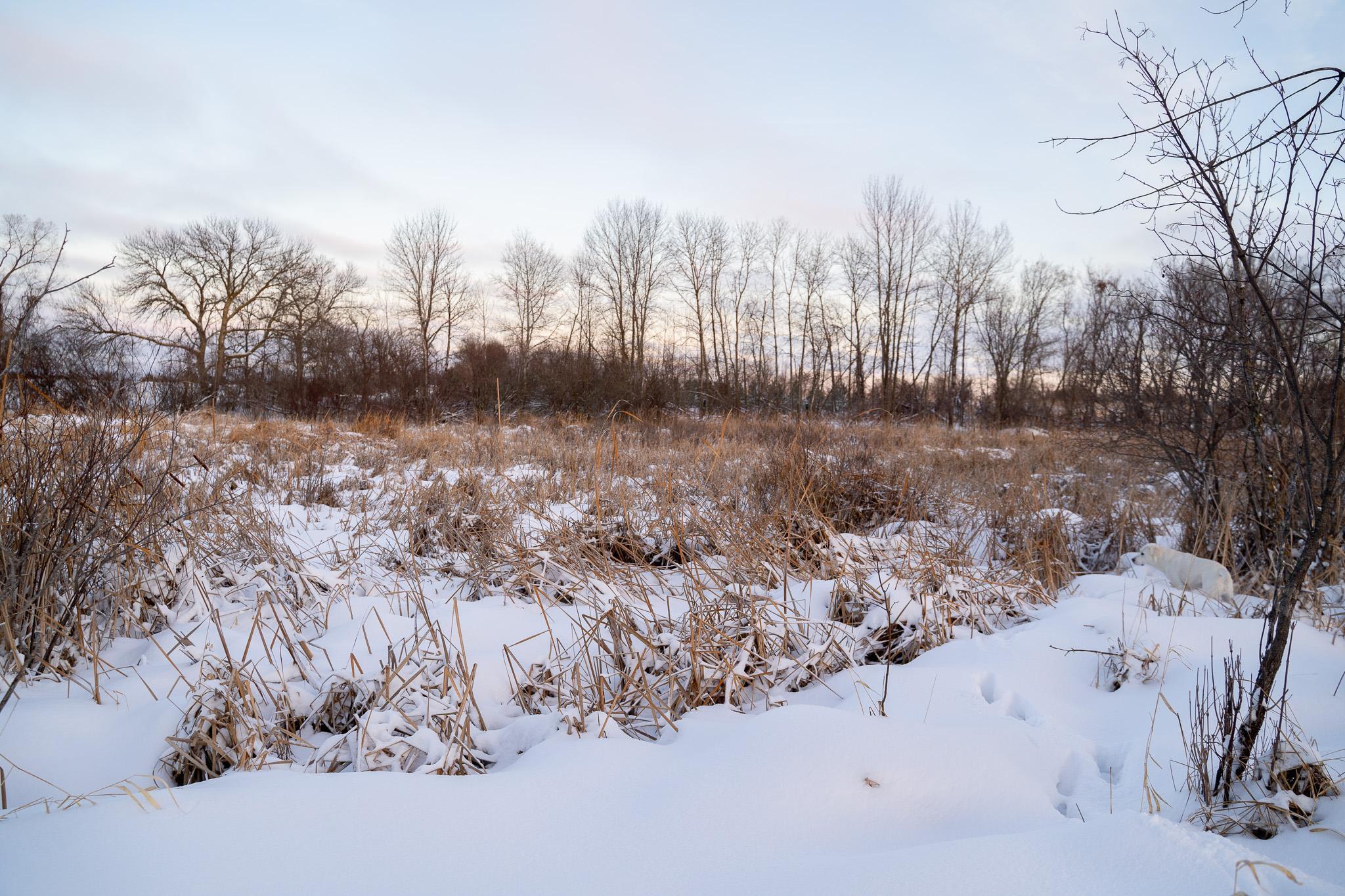 Tbdx 130th Street Detroit Lakes, MN 56501 - Photo 61 of 98