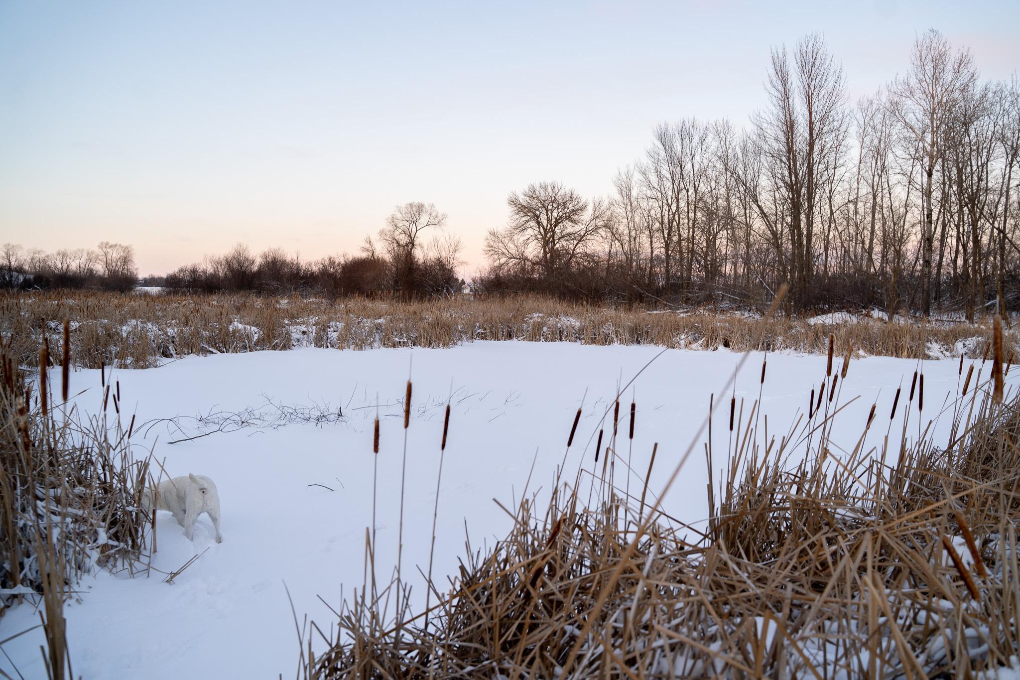 Tbdx 130th Street Detroit Lakes, MN 56501 - Photo 62 of 98
