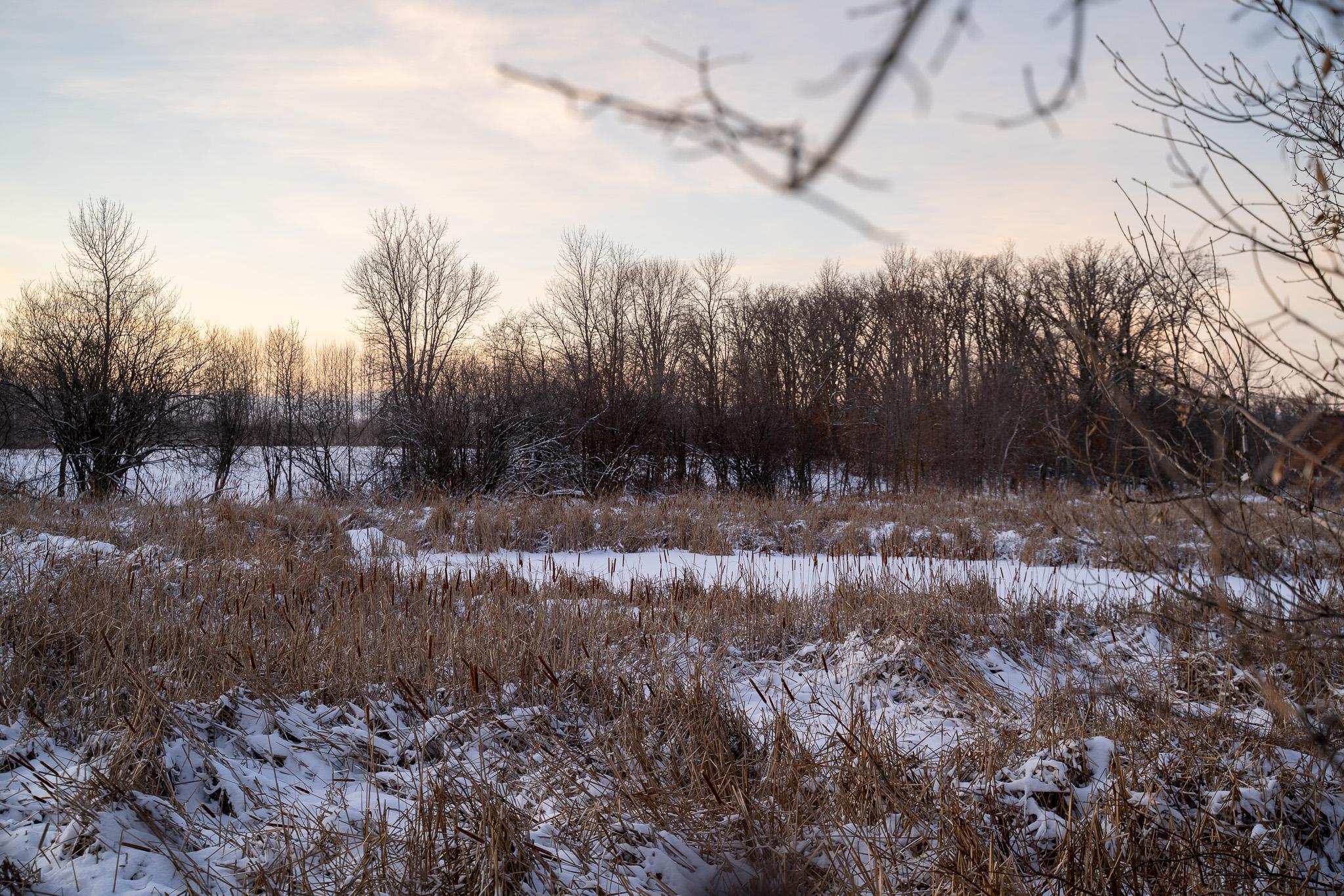 Tbdx 130th Street Detroit Lakes, MN 56501 - Photo 63 of 98