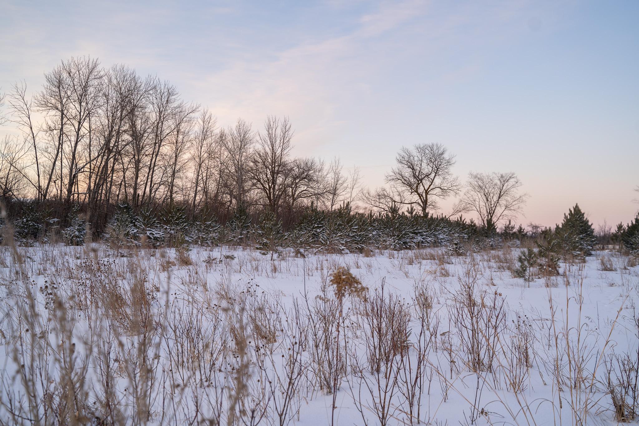 Tbdx 130th Street Detroit Lakes, MN 56501 - Photo 64 of 98