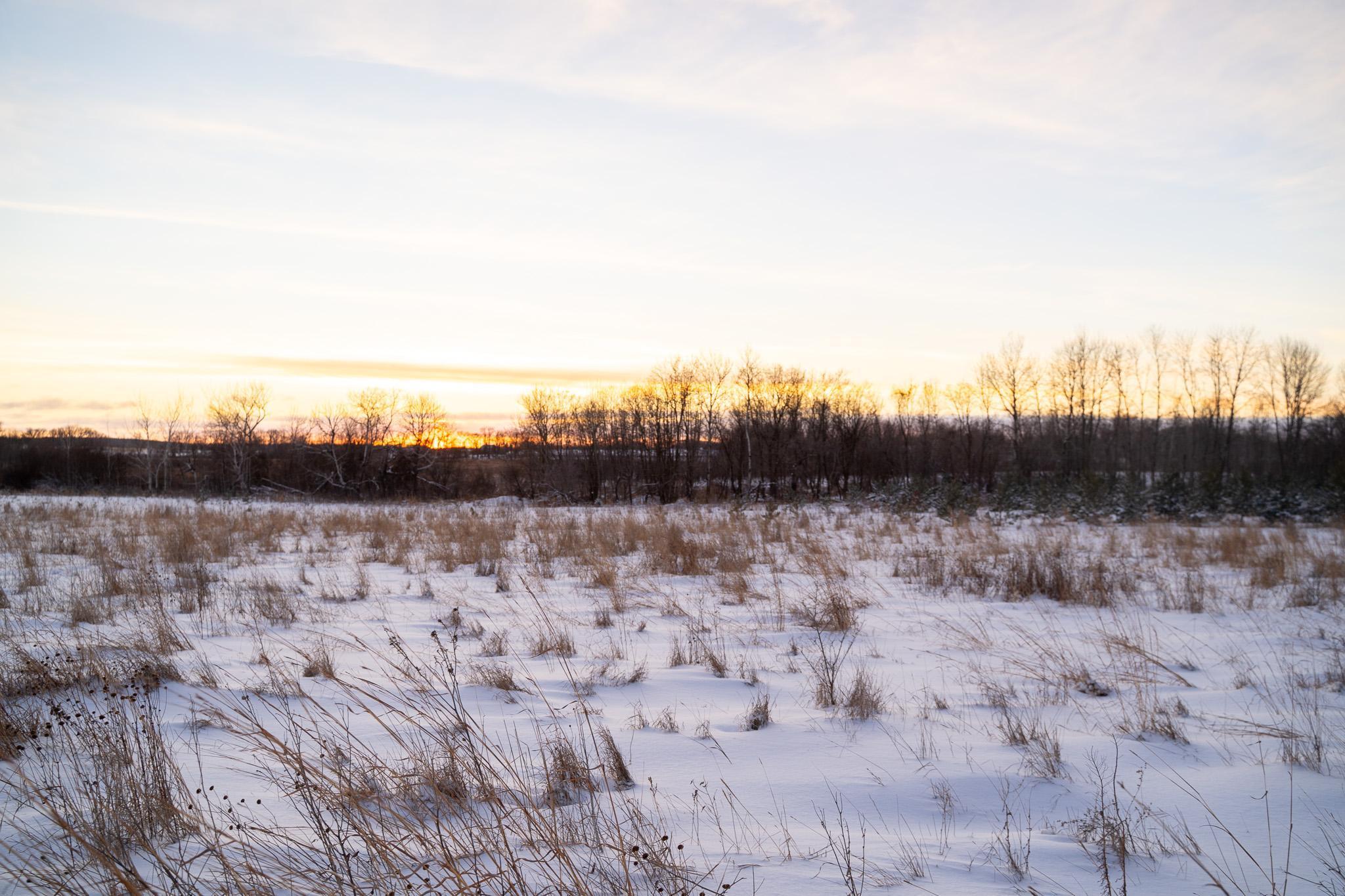 Tbdx 130th Street Detroit Lakes, MN 56501 - Photo 65 of 98