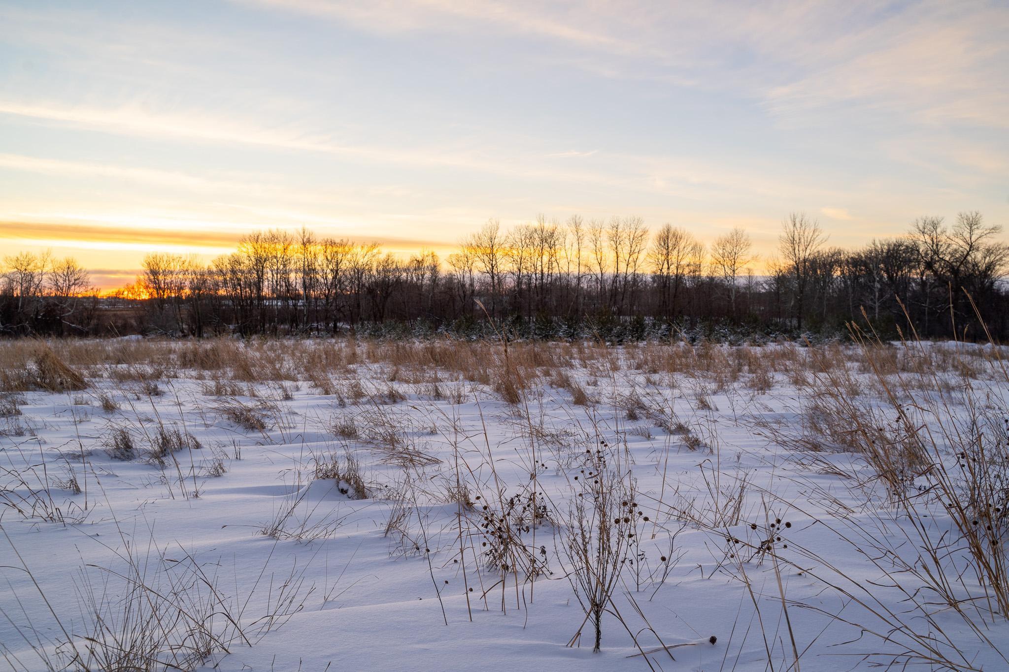 Tbdx 130th Street Detroit Lakes, MN 56501 - Photo 66 of 98