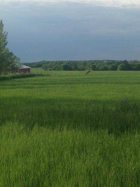 Tbdx 130th Street Detroit Lakes, MN 56501 - Photo 72 of 98