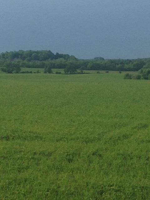 Tbdx 130th Street Detroit Lakes, MN 56501 - Photo 74 of 98