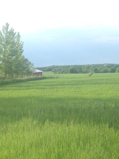 Tbdx 130th Street Detroit Lakes, MN 56501 - Photo 76 of 98